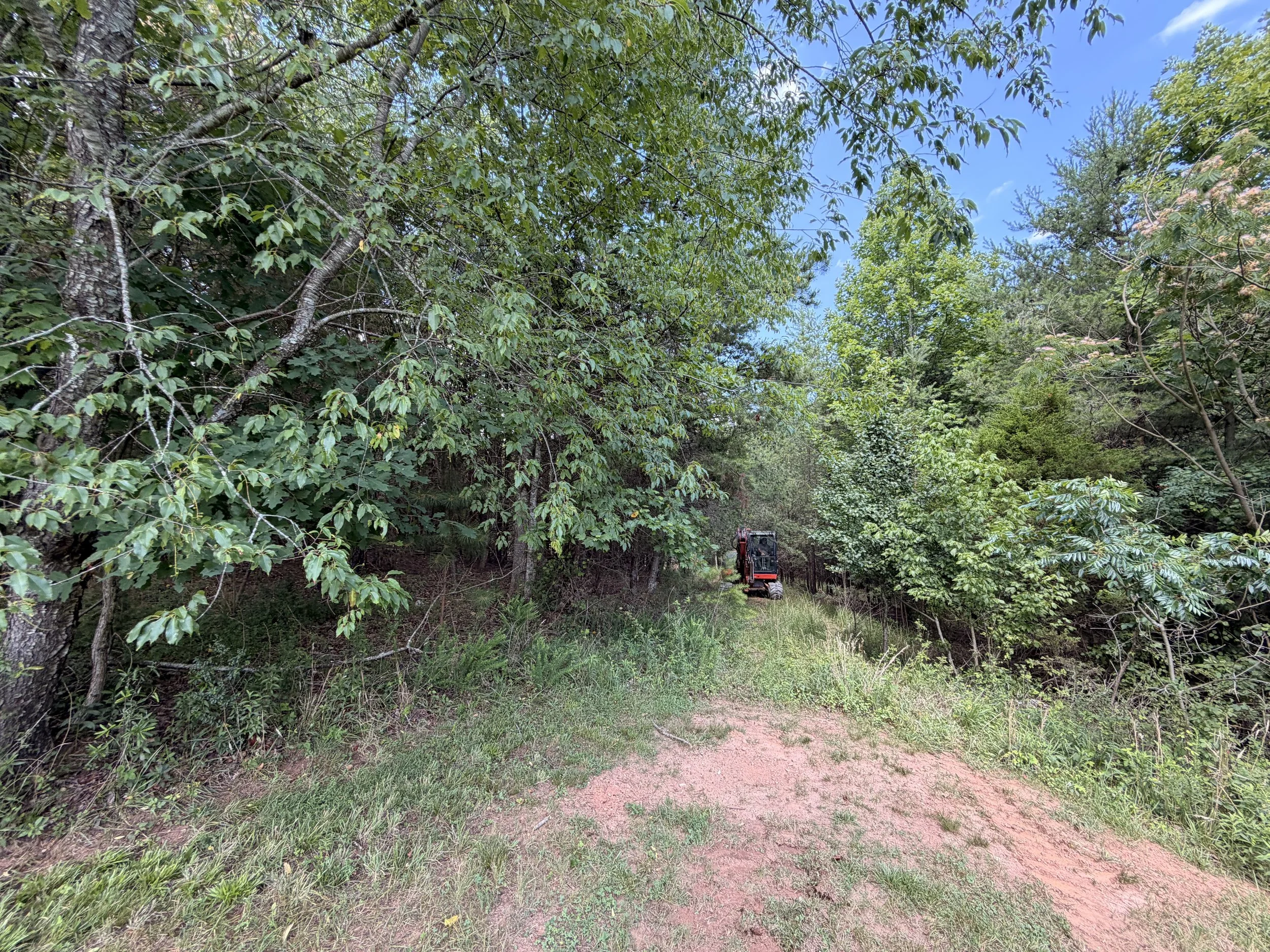 LAND CLEARING (6)