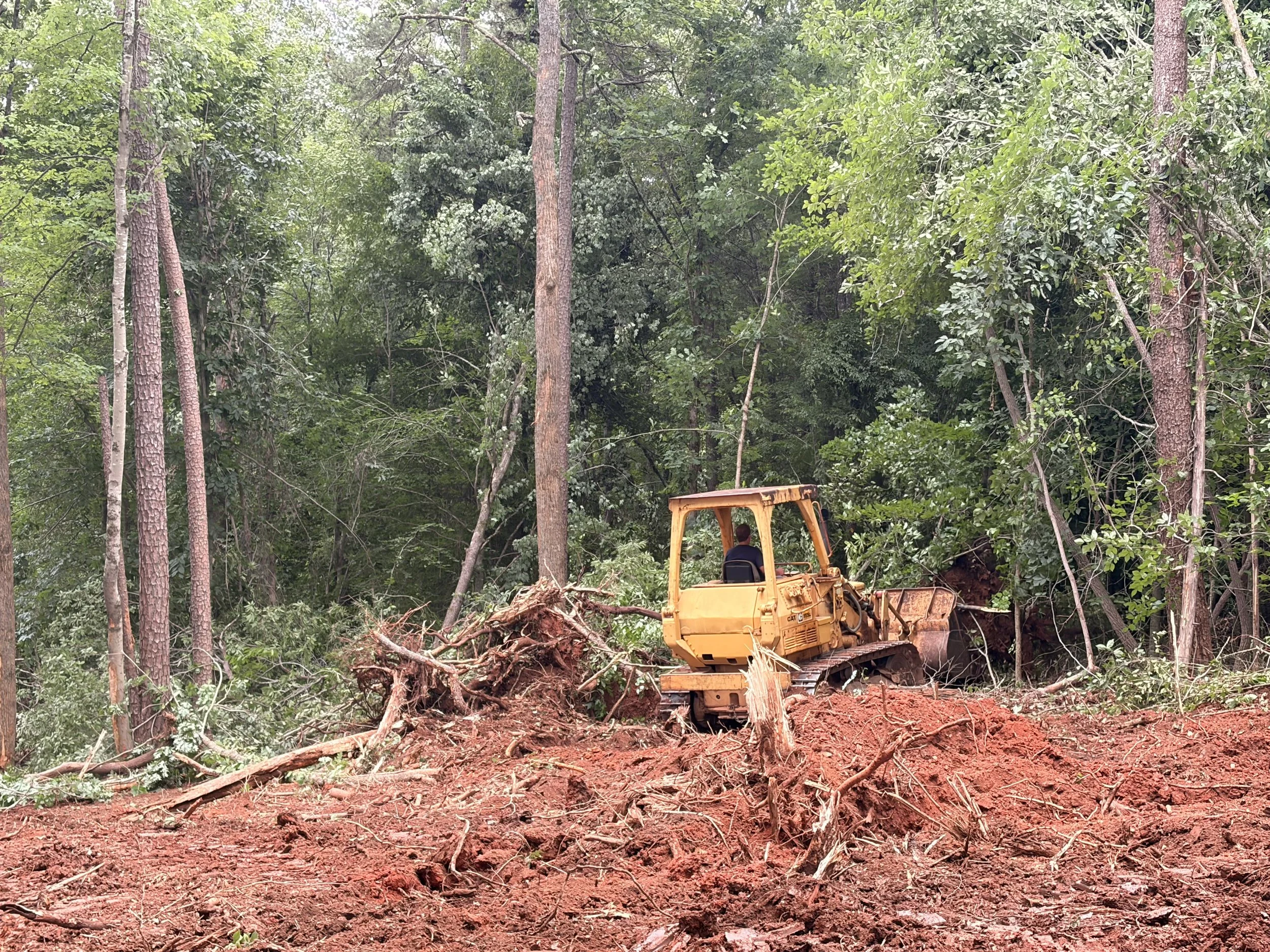 LAND CLEARING (4)