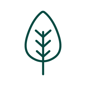 graphic of a leaf to symbolize nature