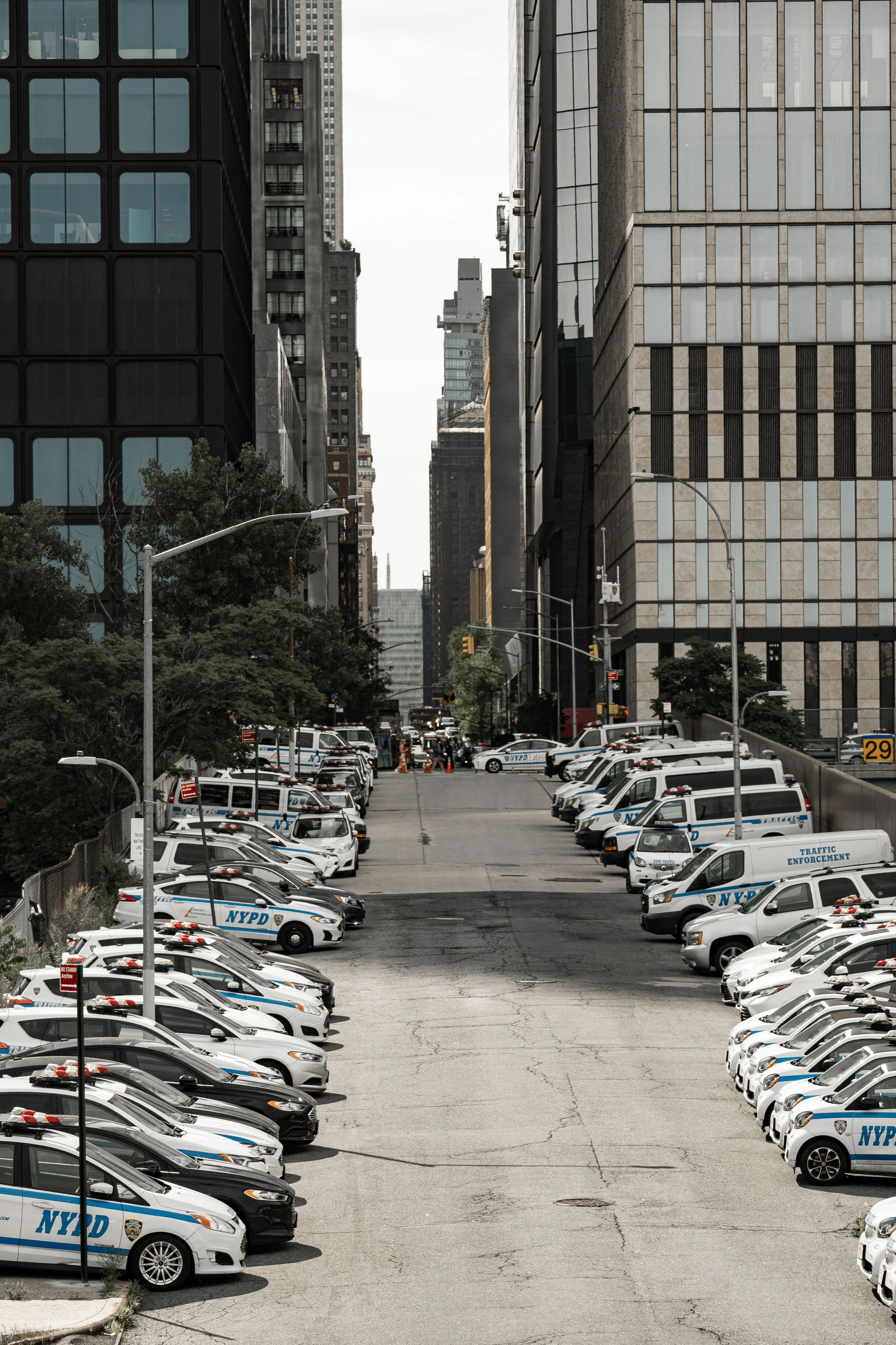 A city street with multiple police cars parked along the sides of the street, which appears to be closed off to traffic. Tall buildings with glass and stone facades line the street, and traffic enforcement signs are visible. The sky is overcast, and some trees are in the foreground.