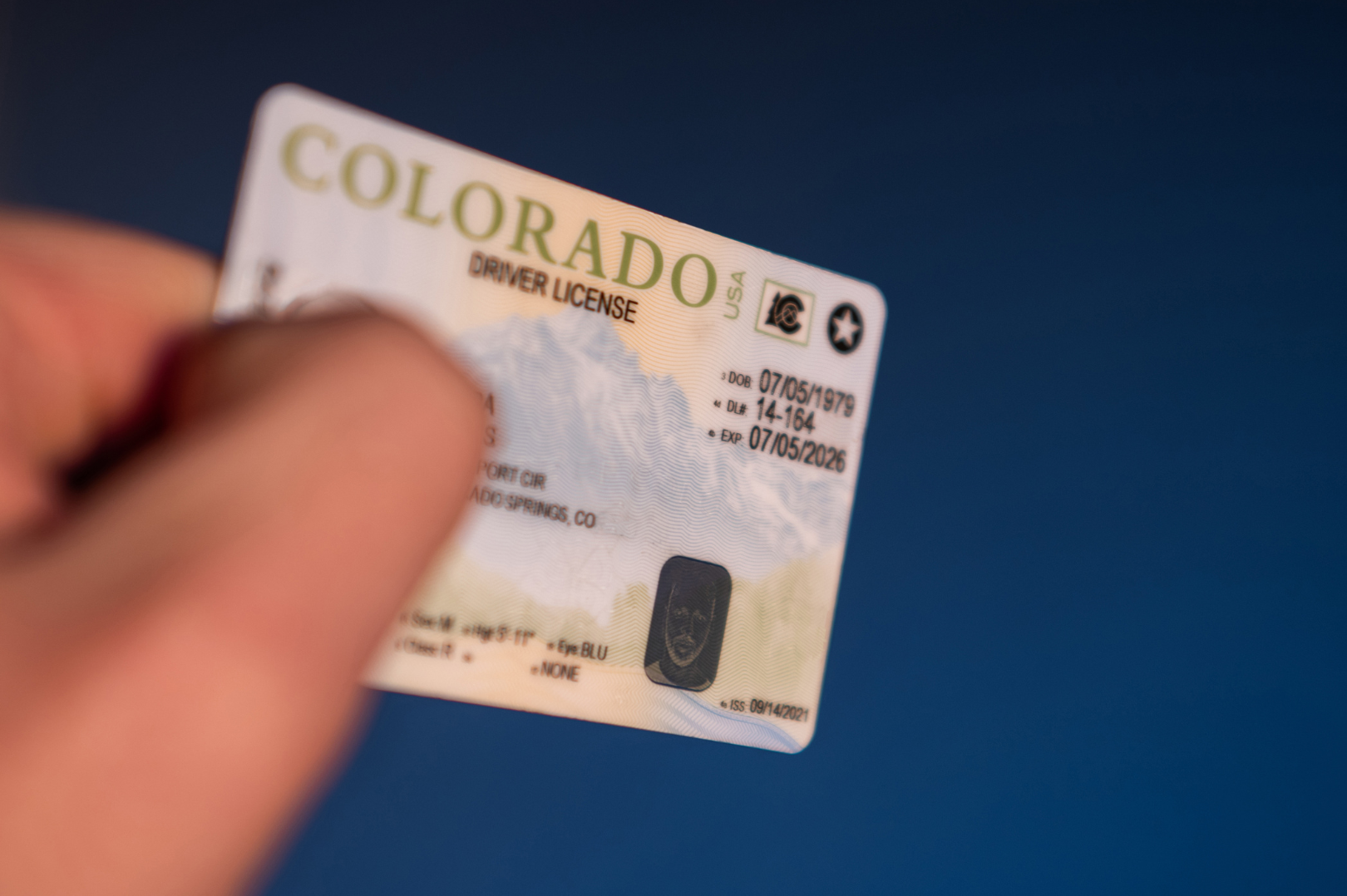 Close-up of a person's hand holding a Colorado driver license against a dark blue background.