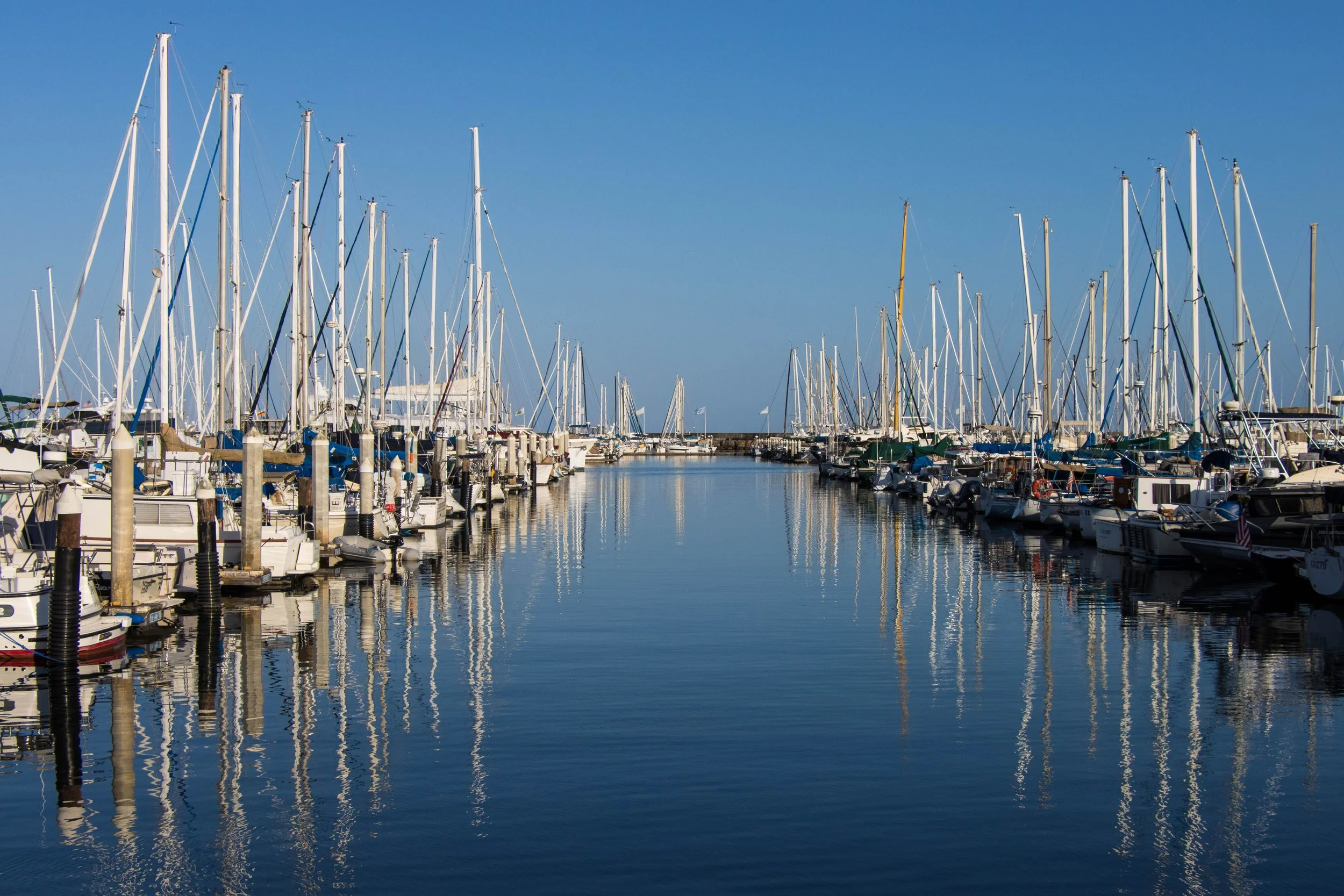 A marina with numerous sailboats and yachts docked along the piers, their masts reaching into a clear blue sky, with calm water reflecting the boats.