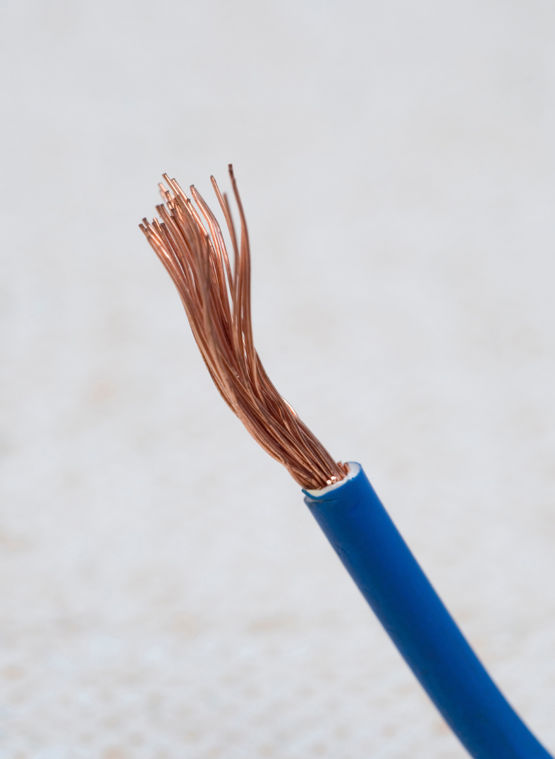 Close-up of a stripped electrical wire with copper strands and a blue plastic insulation.