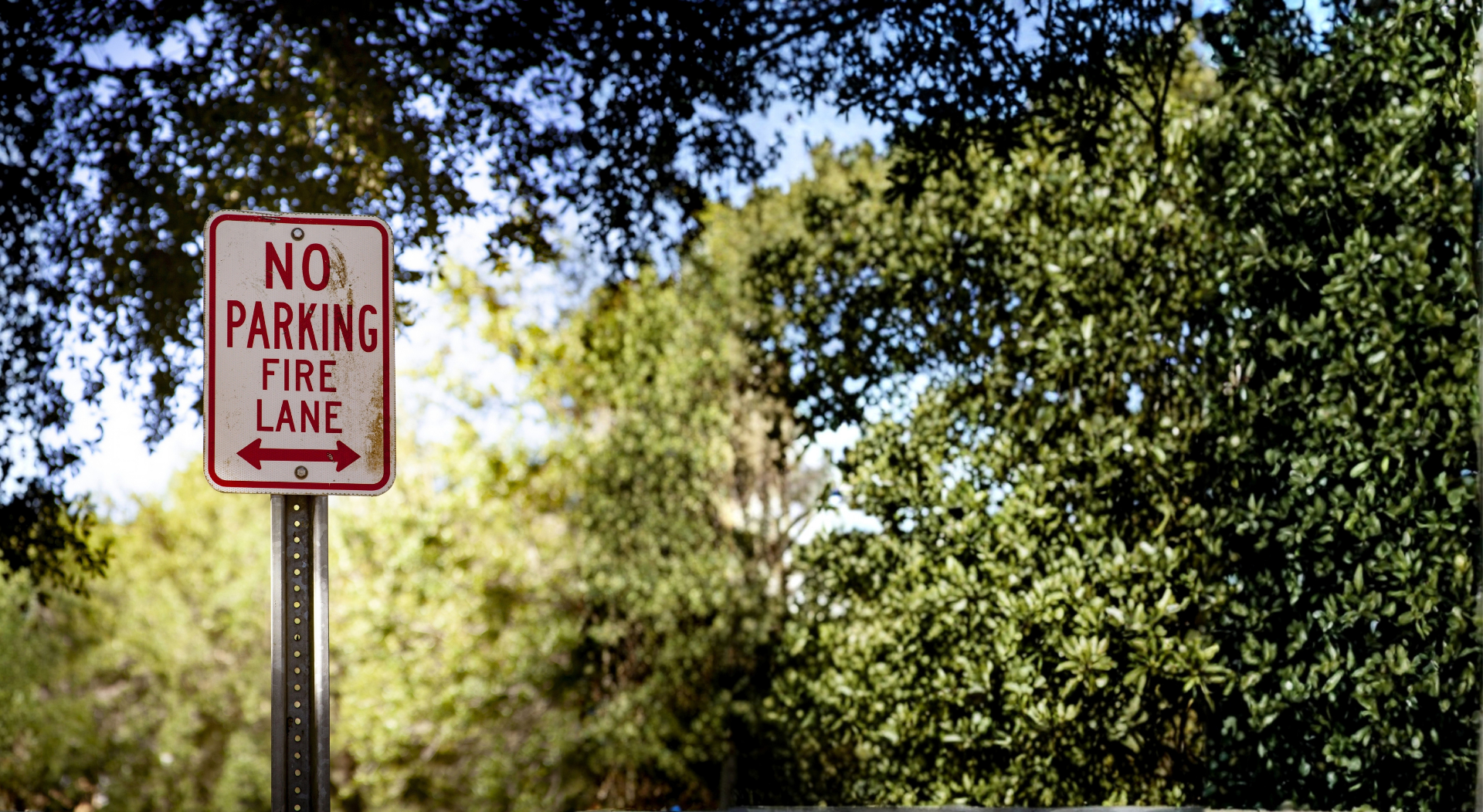 A white rectangular sign with red text that reads 'NO PARKING FIRE LANE' with arrows pointing left and right, mounted on a metal pole among trees with green foliage.