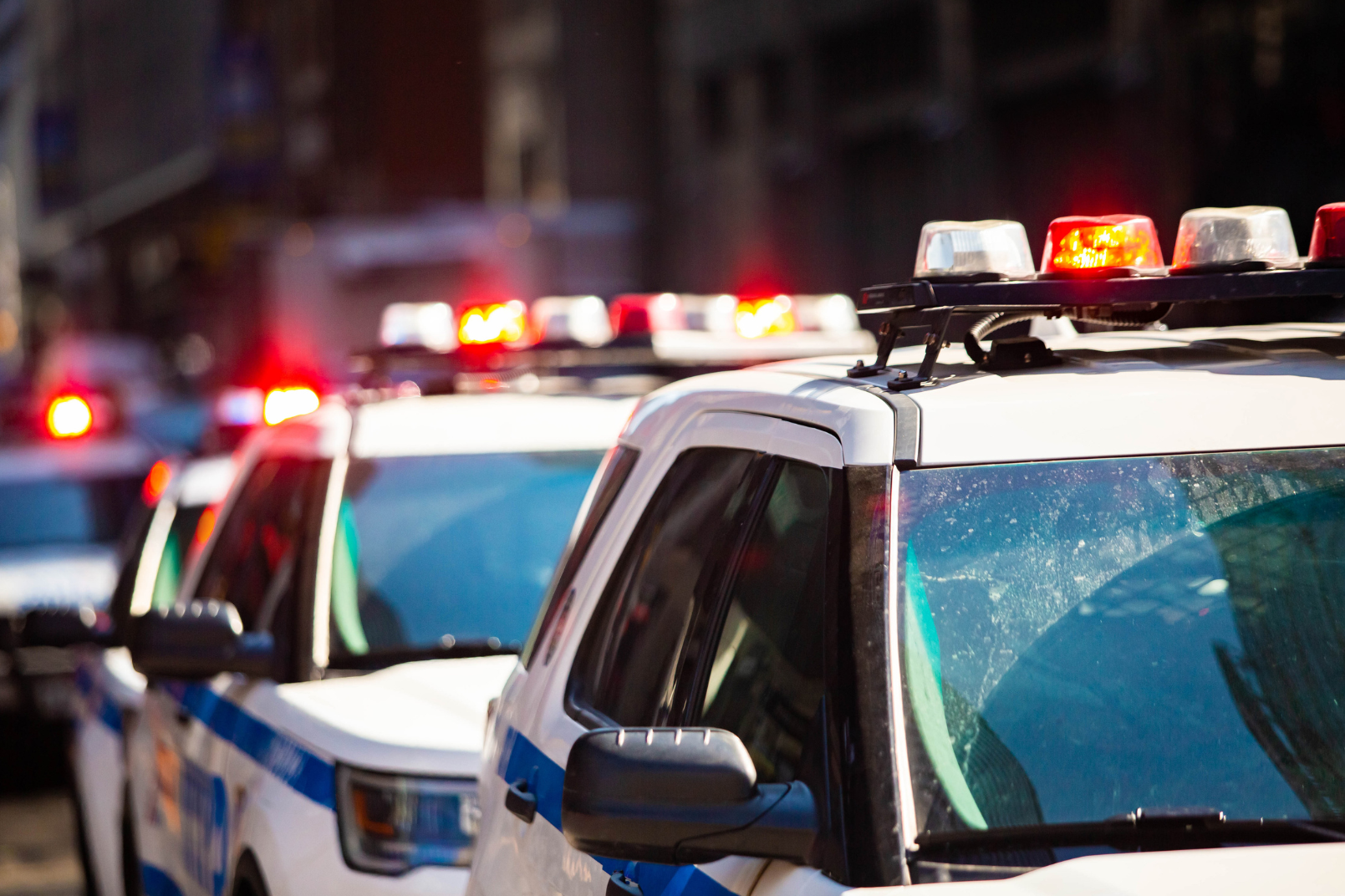 Multiple police cars with flashing red and white lights parked in a row.