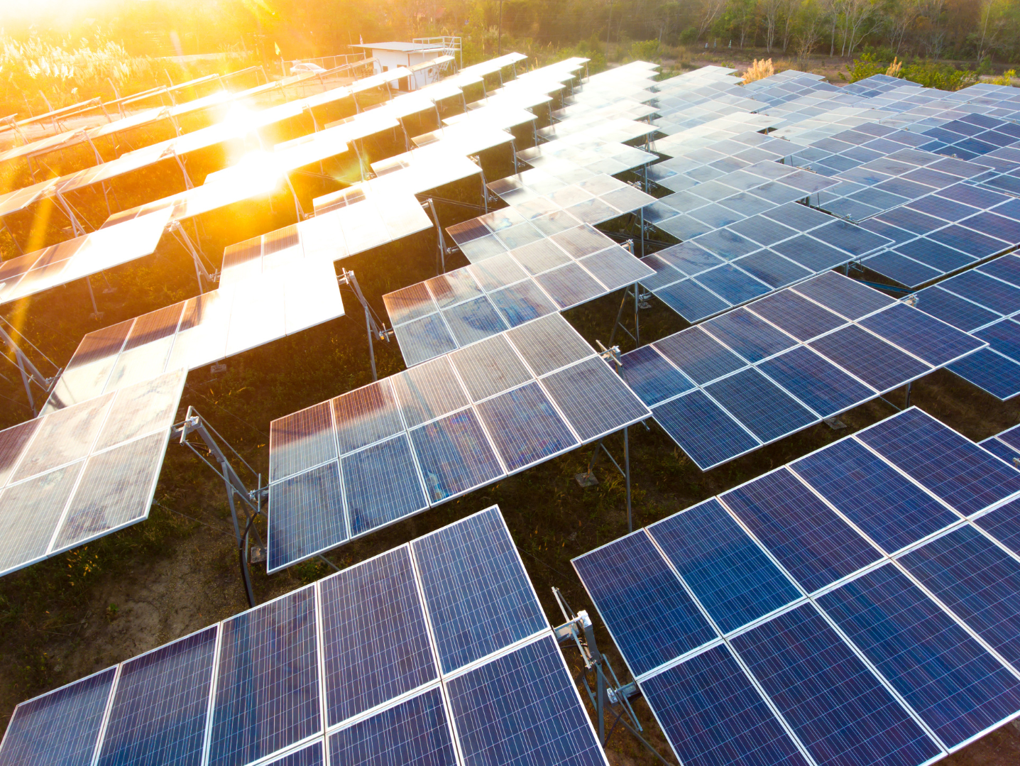 Aerial view of a solar farm with numerous solar panels arranged in rows on a sunny day.