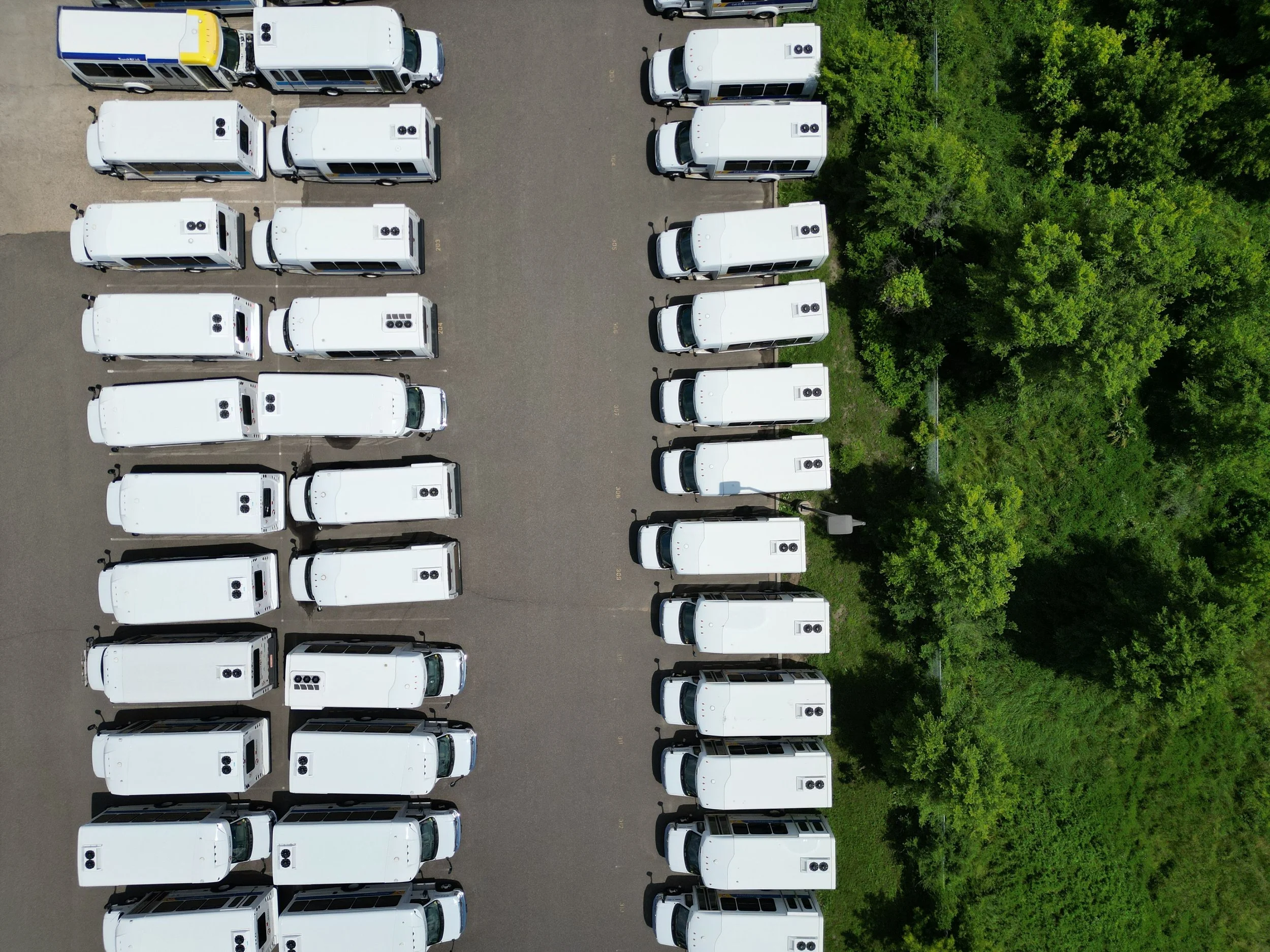 Aerial view of a parking lot filled with white buses, with dense green trees surrounding the area.
