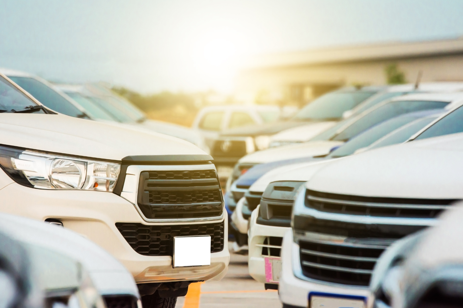Multiple white cars parked in rows at a car dealership during sunset.