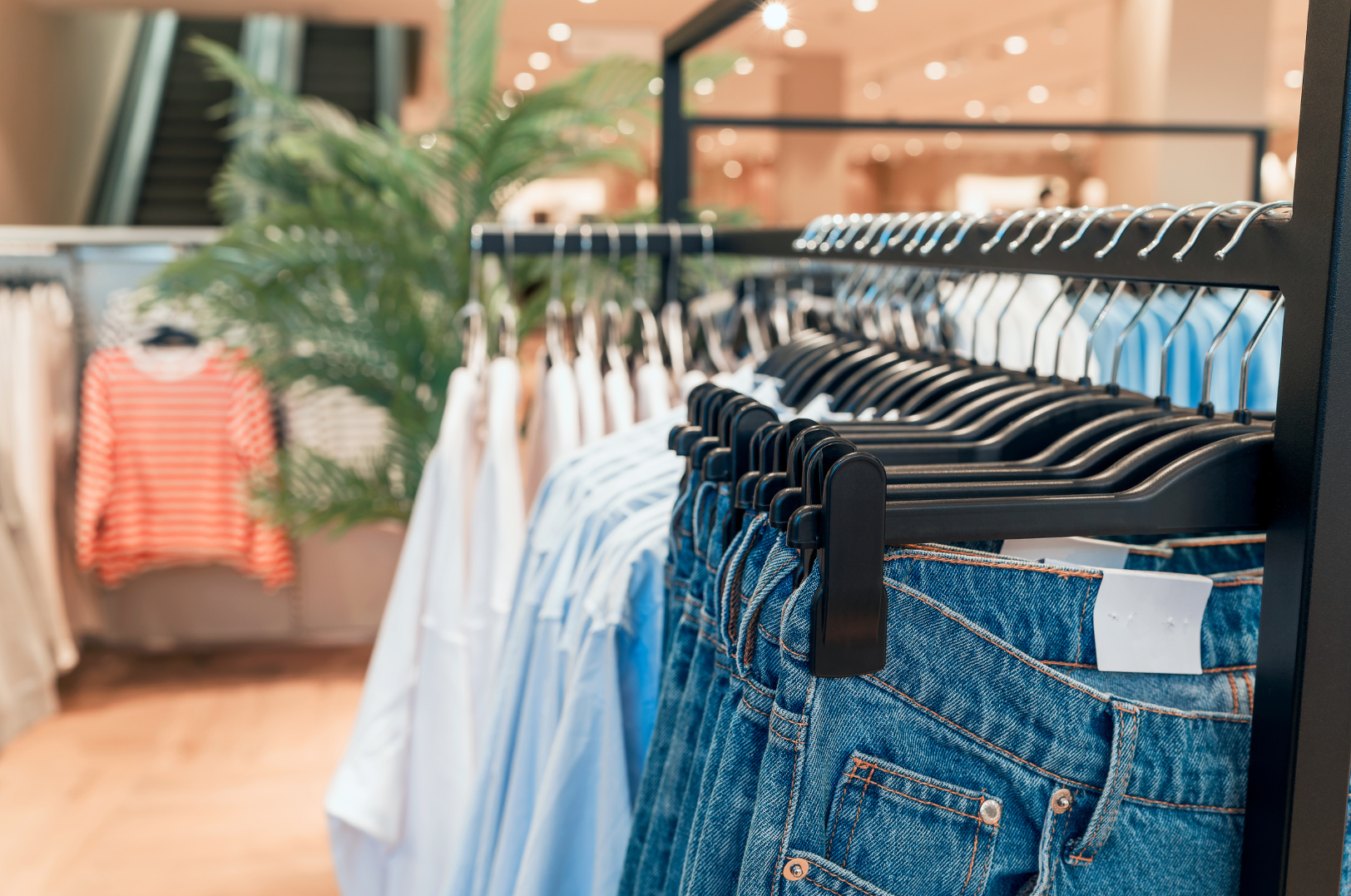 Clothing rack with blue jeans and light blue shirts in a retail store, with a blurred background of other clothing and a potted plant.