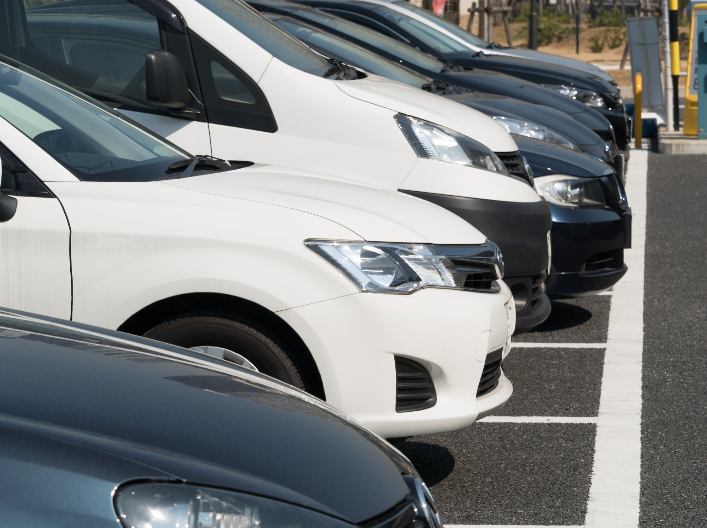 Multiple parked cars in a parking lot, including white and black vehicles, positioned next to each other in marked parking spaces.
