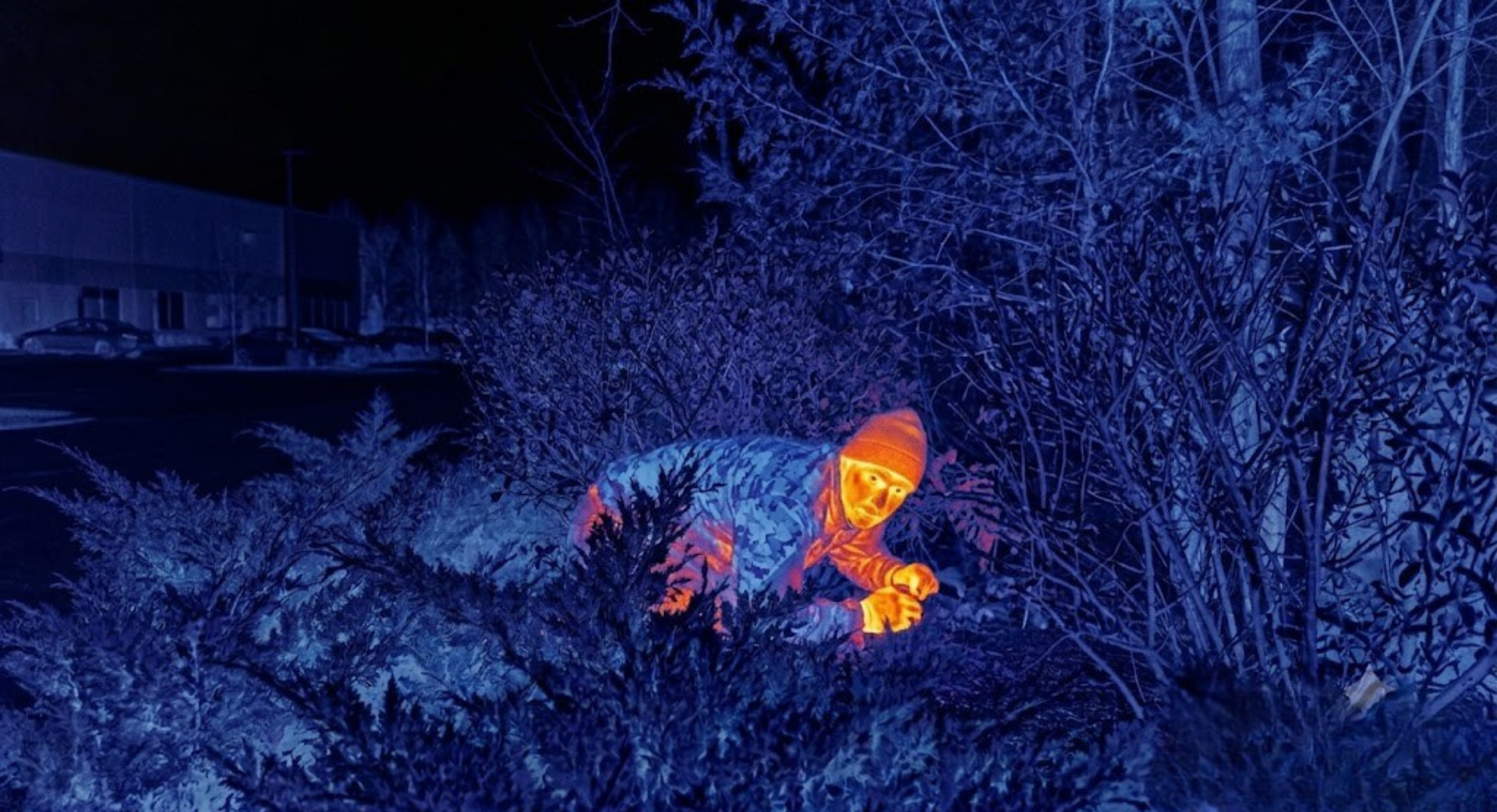 Person wearing a winter jacket and hat crouching among snow-covered bushes at night, detected by thermal imaging displaying orange and blue heat signatures.