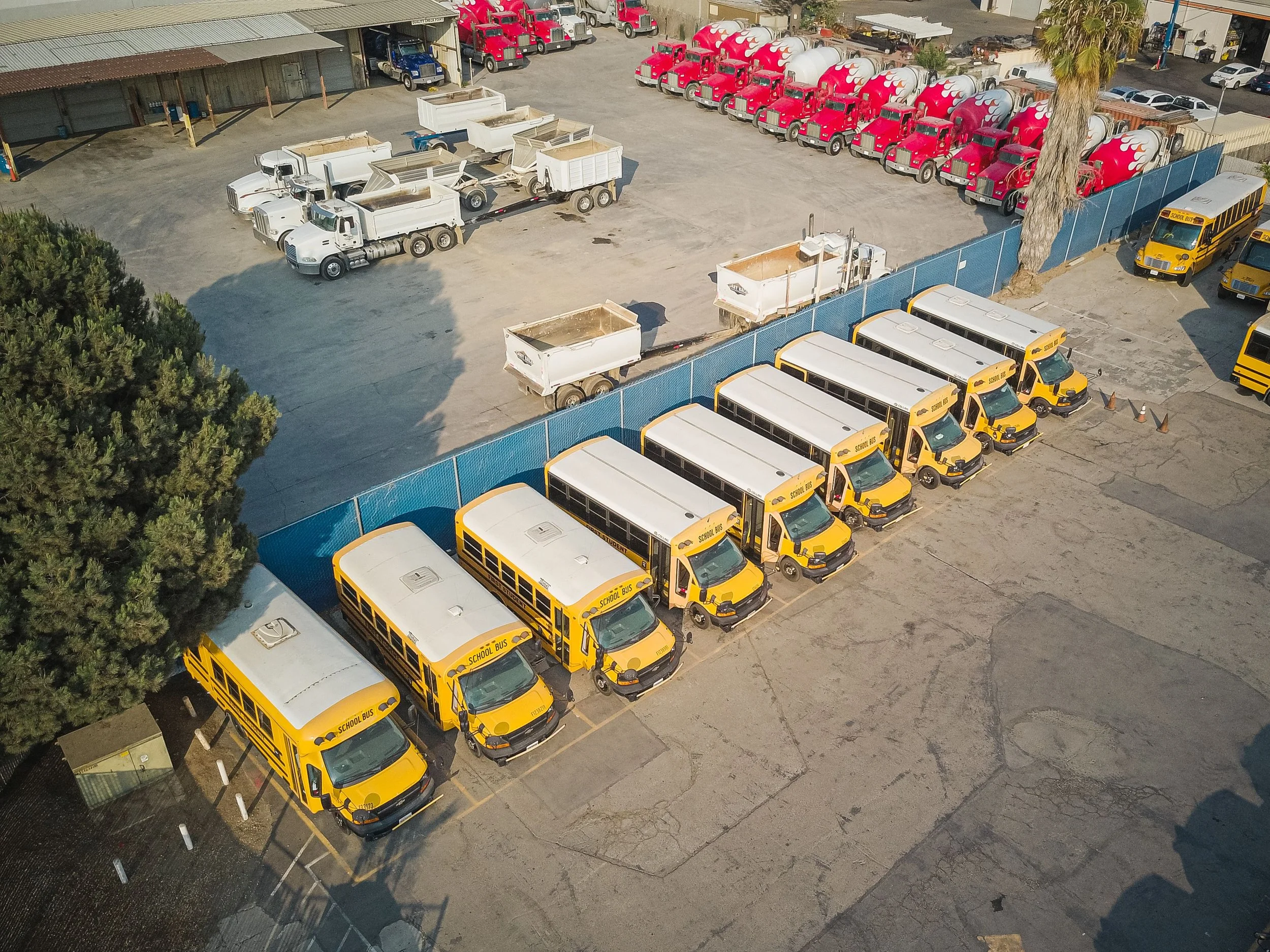 An aerial view of a parking lot with yellow school buses parked in a row at the bottom, gray and white dump trucks in the middle, and a line of red cement mixer trucks at the top.