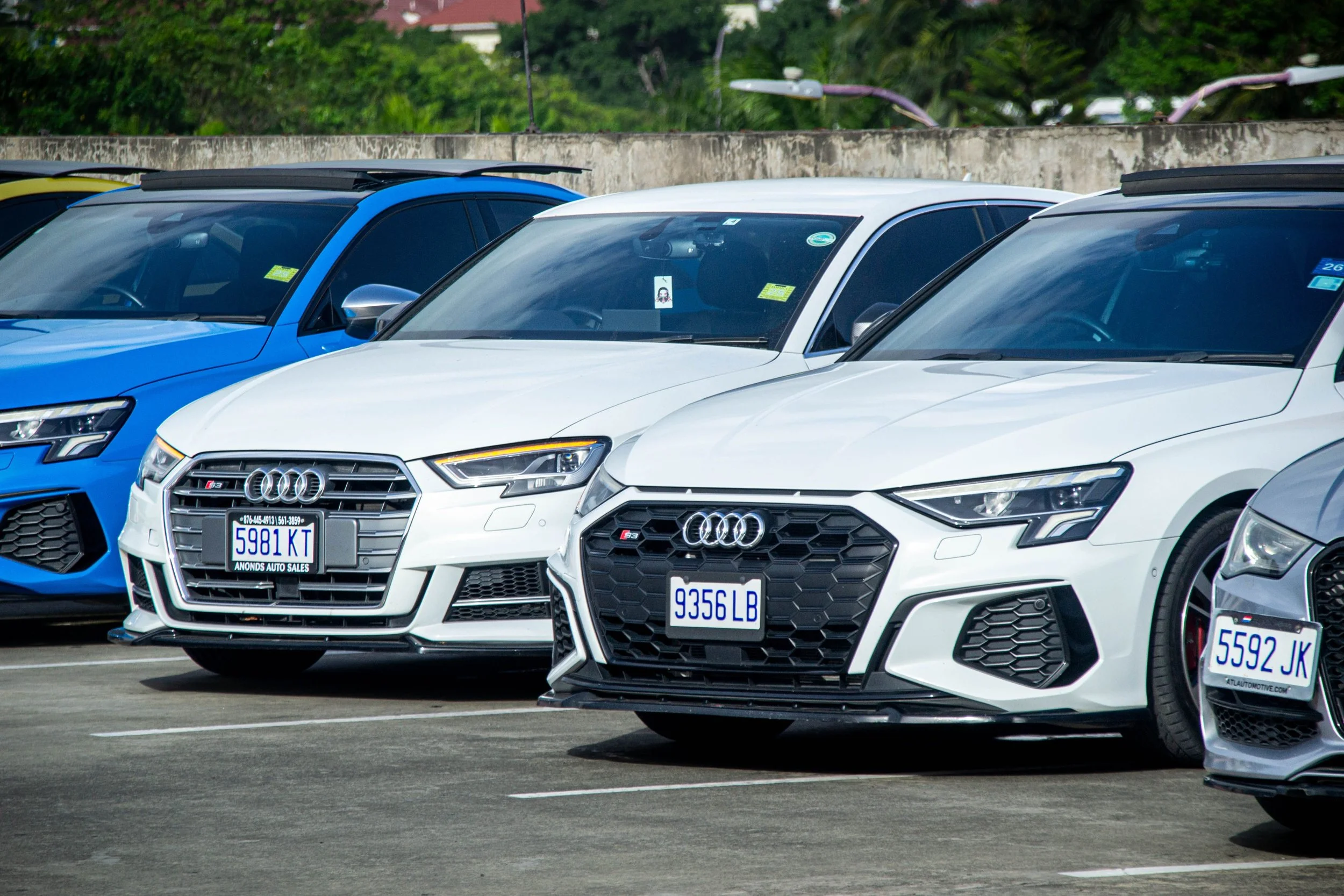 Line of white and blue Audi cars parked in an outdoor parking lot.