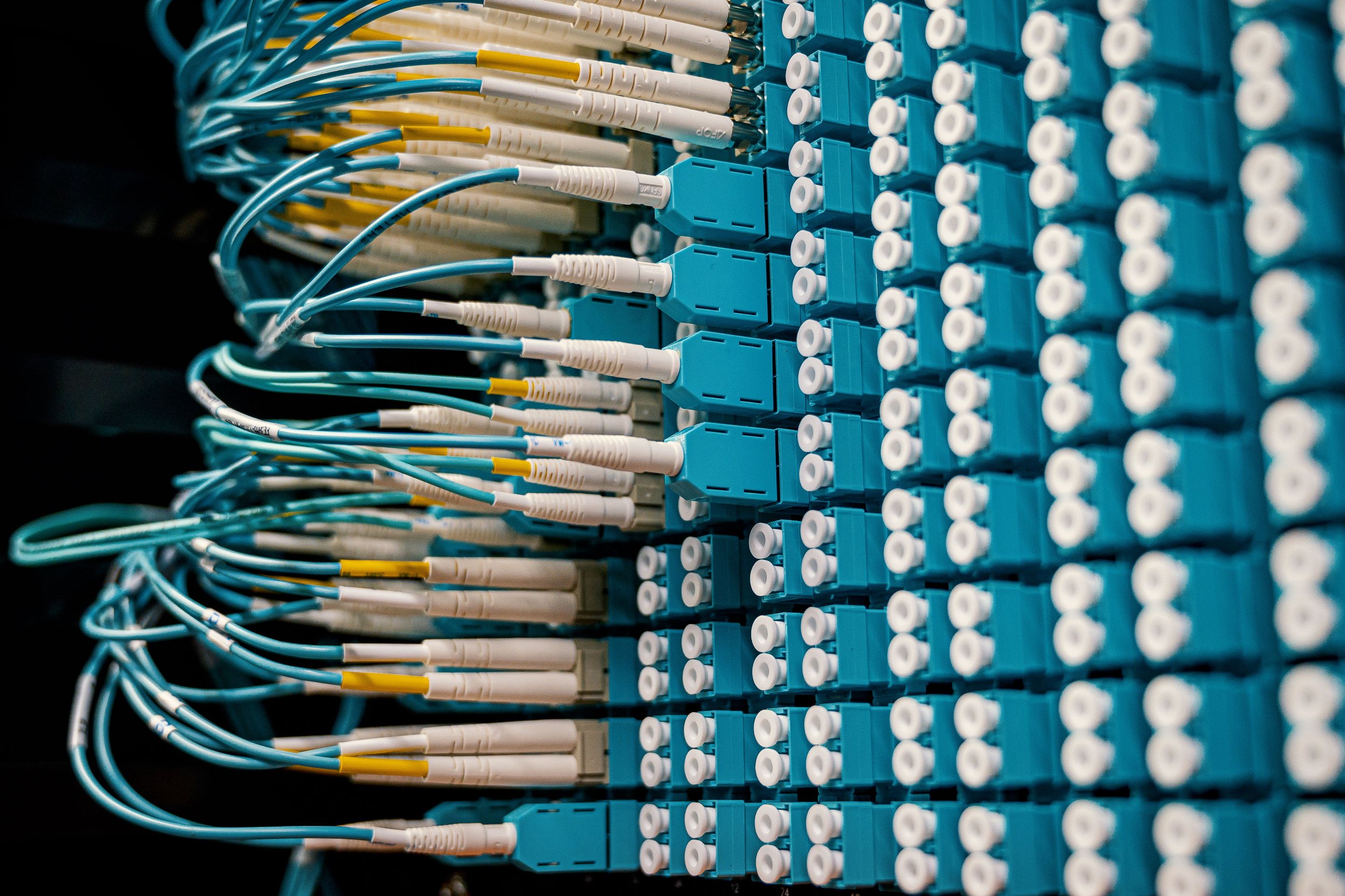 Close-up of network cables connected to a patch panel, with blue and white cables and fittings.