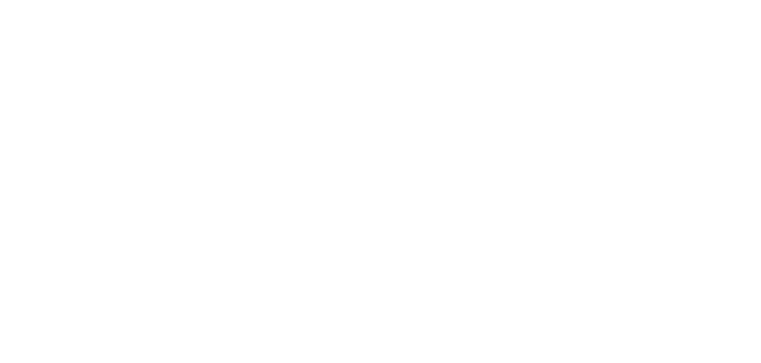 Rally 