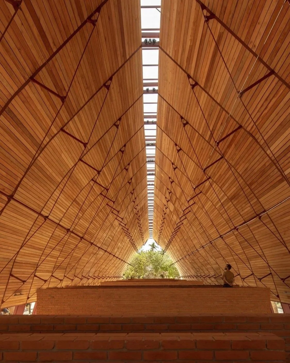 Interior view of a modern architectural structure with high, curved wooden ceiling panels, a skylight in the center, and a person sitting on a brick platform near a tree visible through the opening.