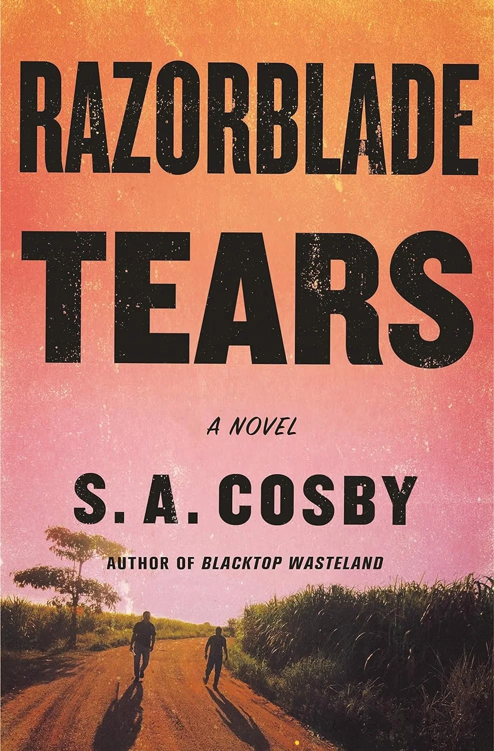 Razor Blade Tears by S.A. Cosby