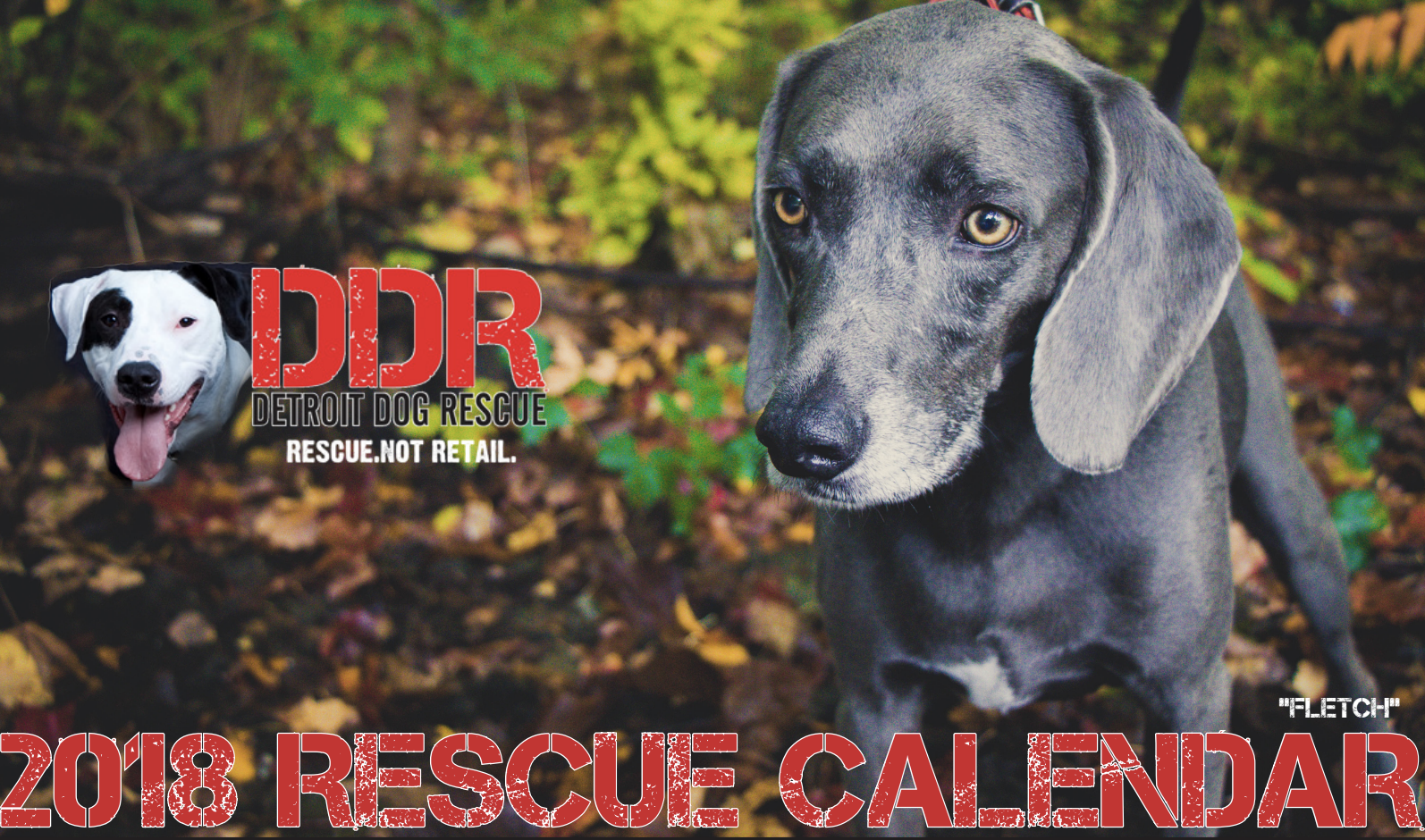 detroit dog rescue's 2018 calendar