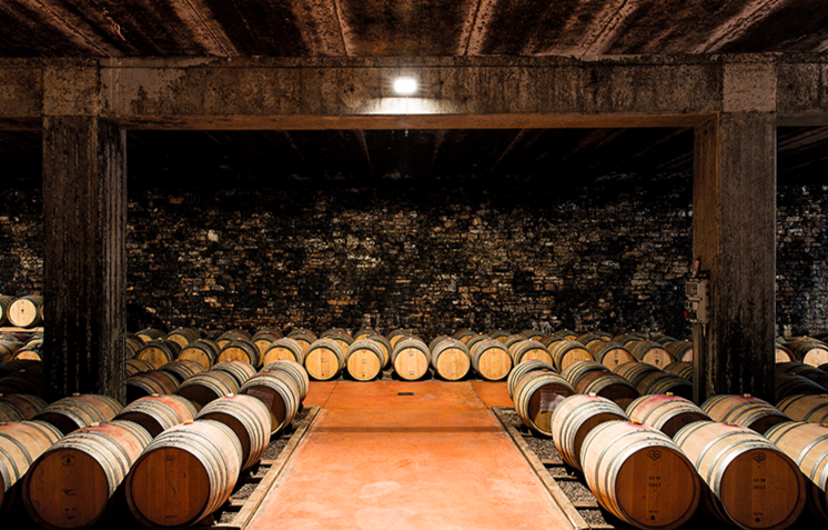 Cava di invecchiamento del vino con botti di botti di legno disposte in file.
