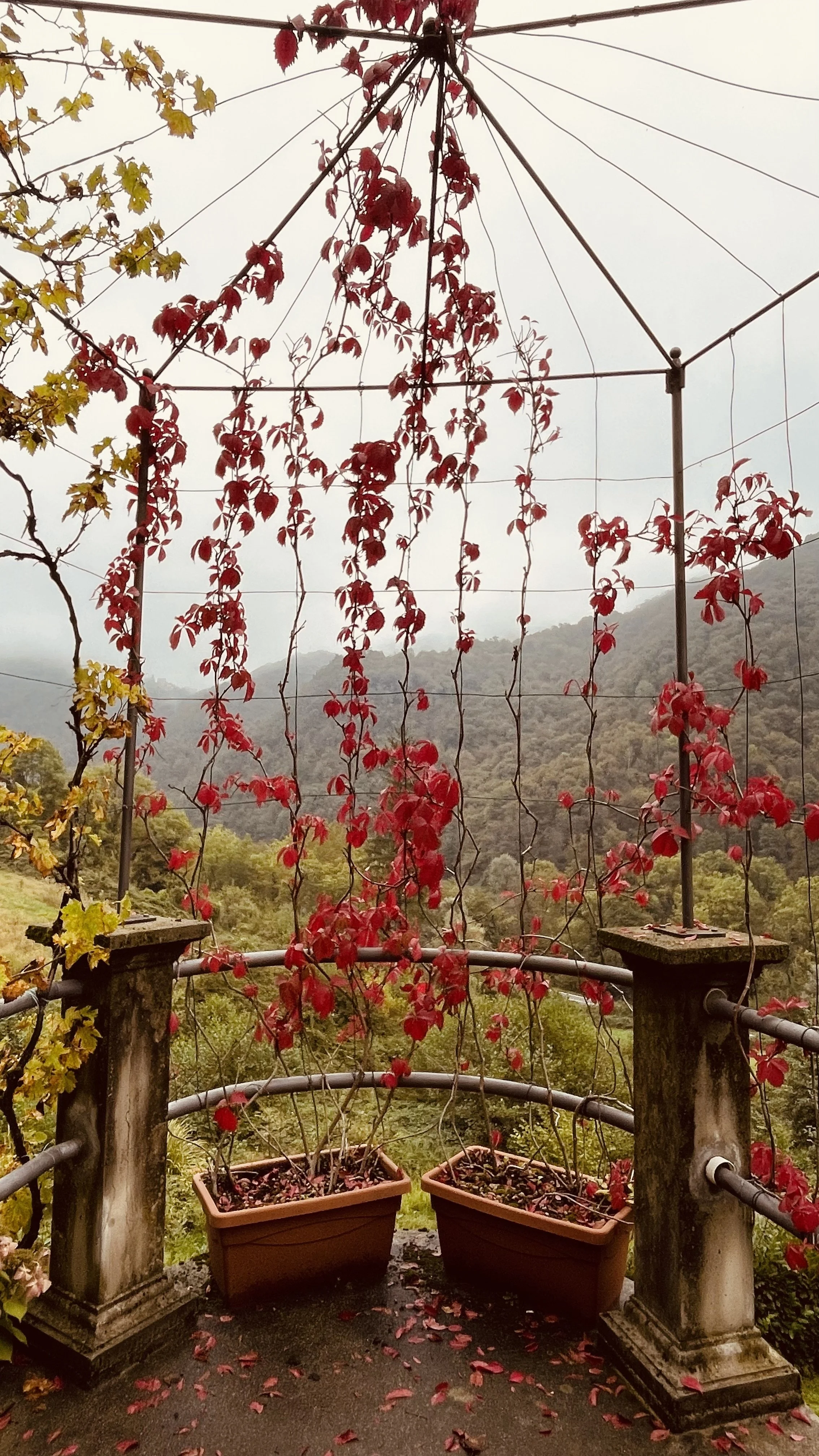 Colourful climbing plants and mountain views at Villa Oberti, a charming villa near Mondovì in Piedmont