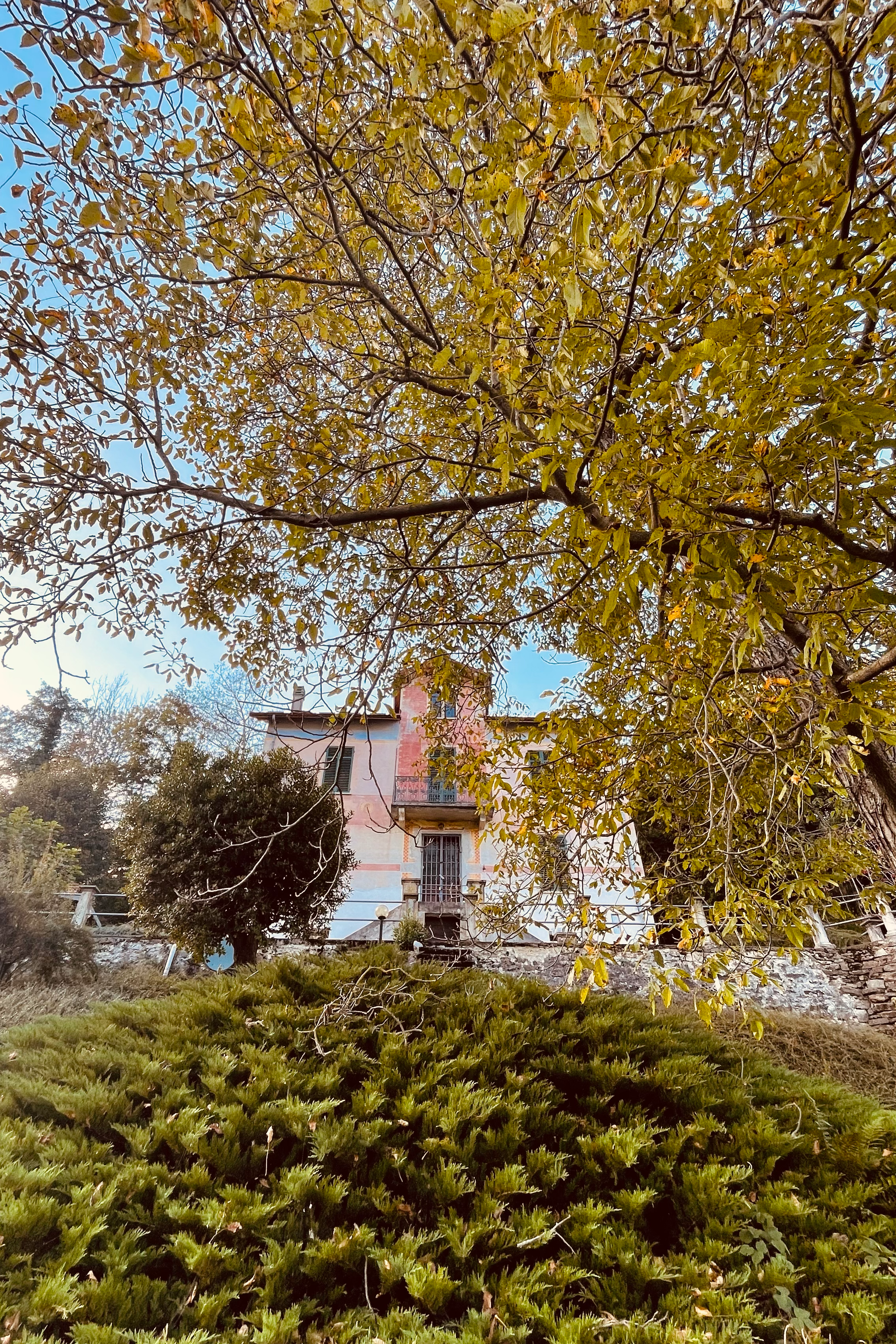 Mature garden surrounding Villa Oberti, a historic countryside villa near Mondovì and the Langhe
