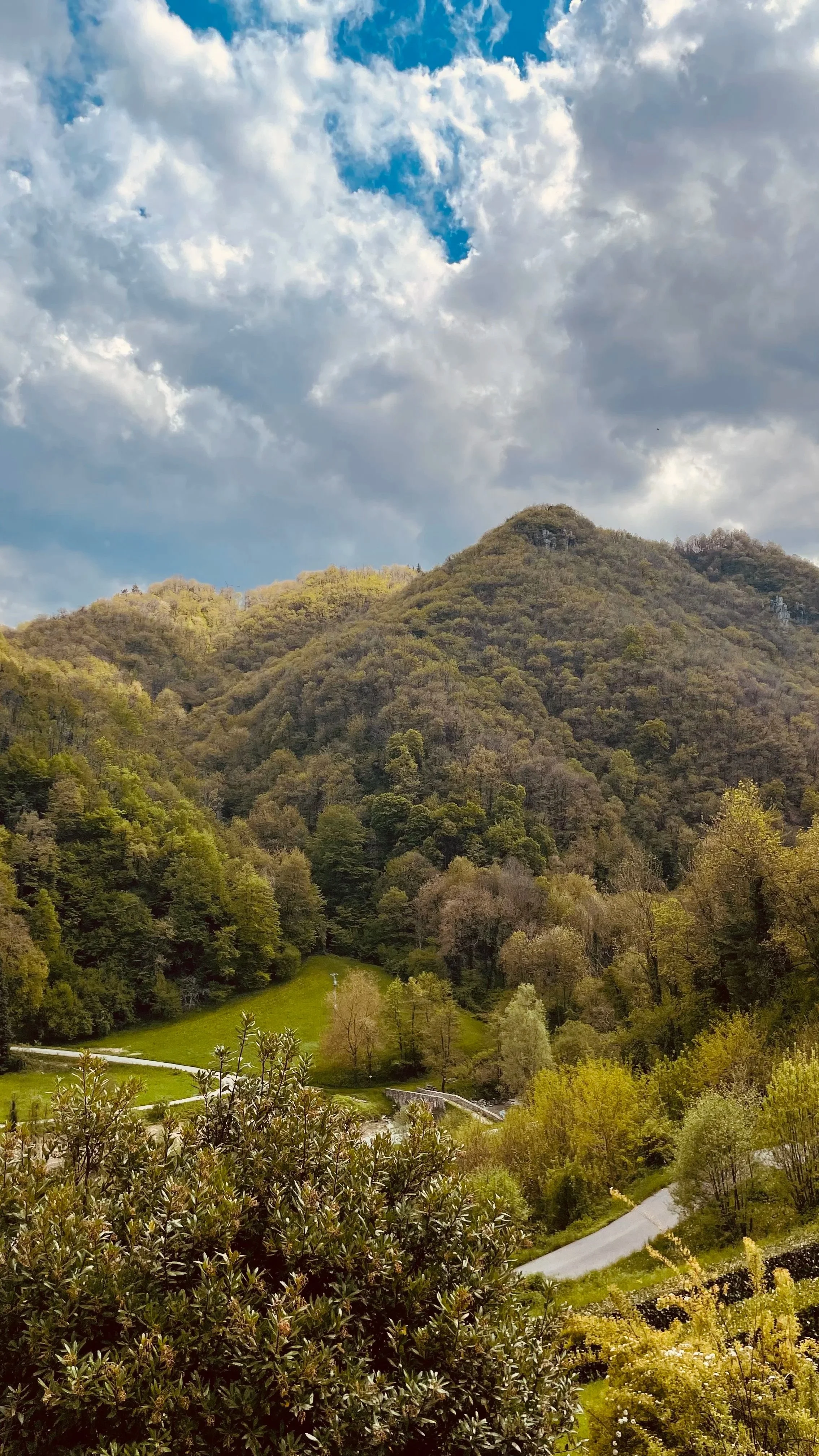 Green hills and wooded landscape around Villa Oberti, a private villa near Mondovì and the Langhe
