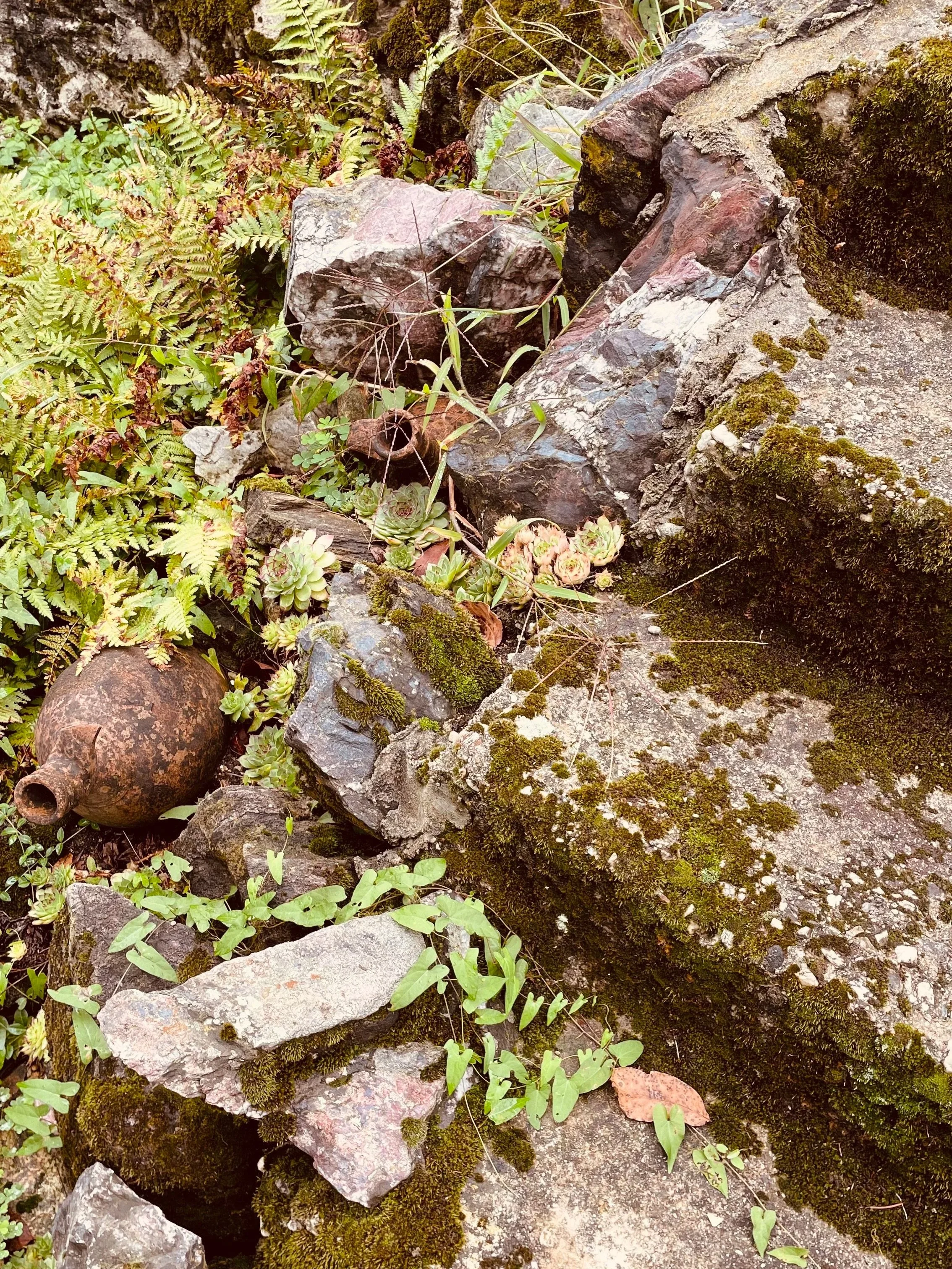 Natural garden details at Villa Oberti, a restored country villa surrounded by nature in Piedmont