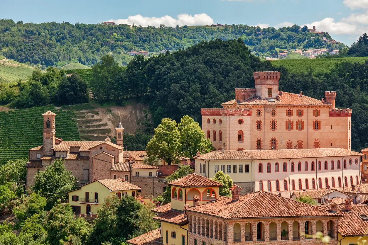 Paesaggio con castello rosa, case con tetti rossi e colline verdi