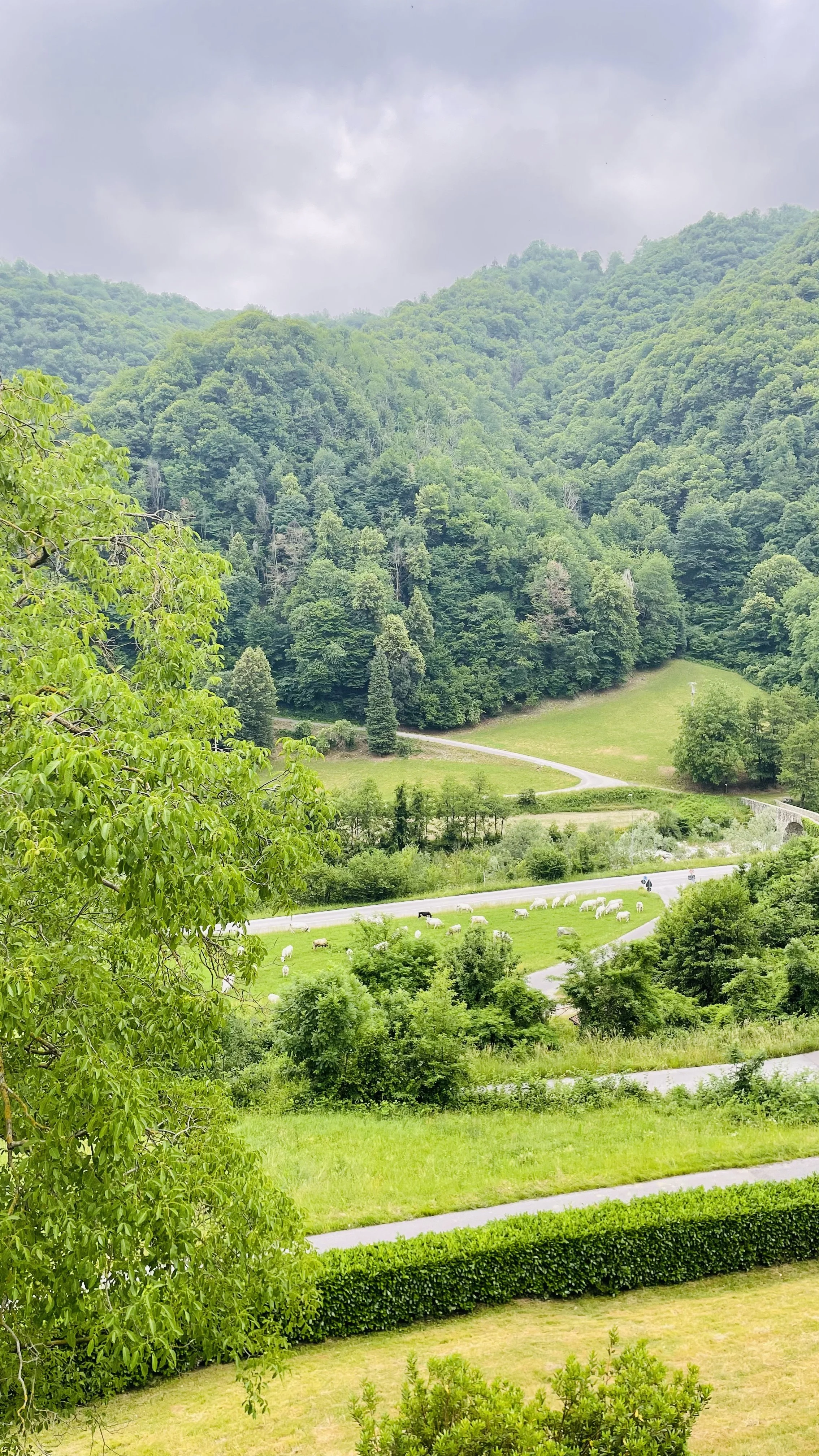 Rural landscape near Villa Oberti in the Corsaglia Valley, surrounded by the hills of southern Piedmont