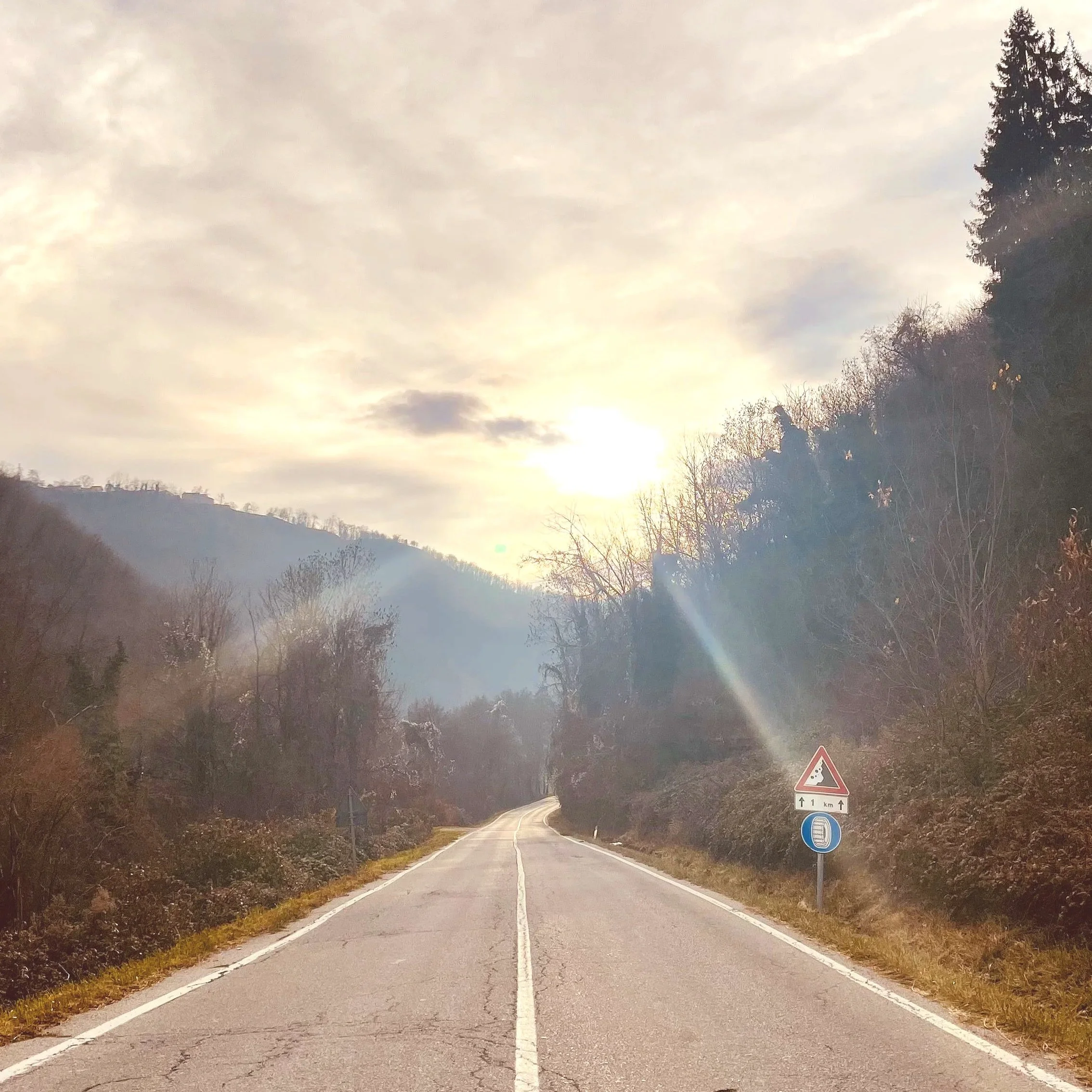 Strada di campagna con segnale di limite di velocità e cartello che indica una distanza di 1 km. Le nuvole coprono il cielo, e ci sono alberi ai lati della strada.