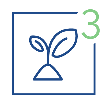 Line drawing of a sprouting plant with two leaves inside a square, with a green number 3 in the upper right corner.