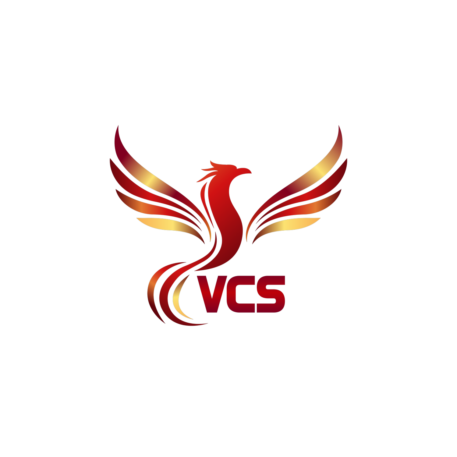 Vitkuske Consulting Solutions