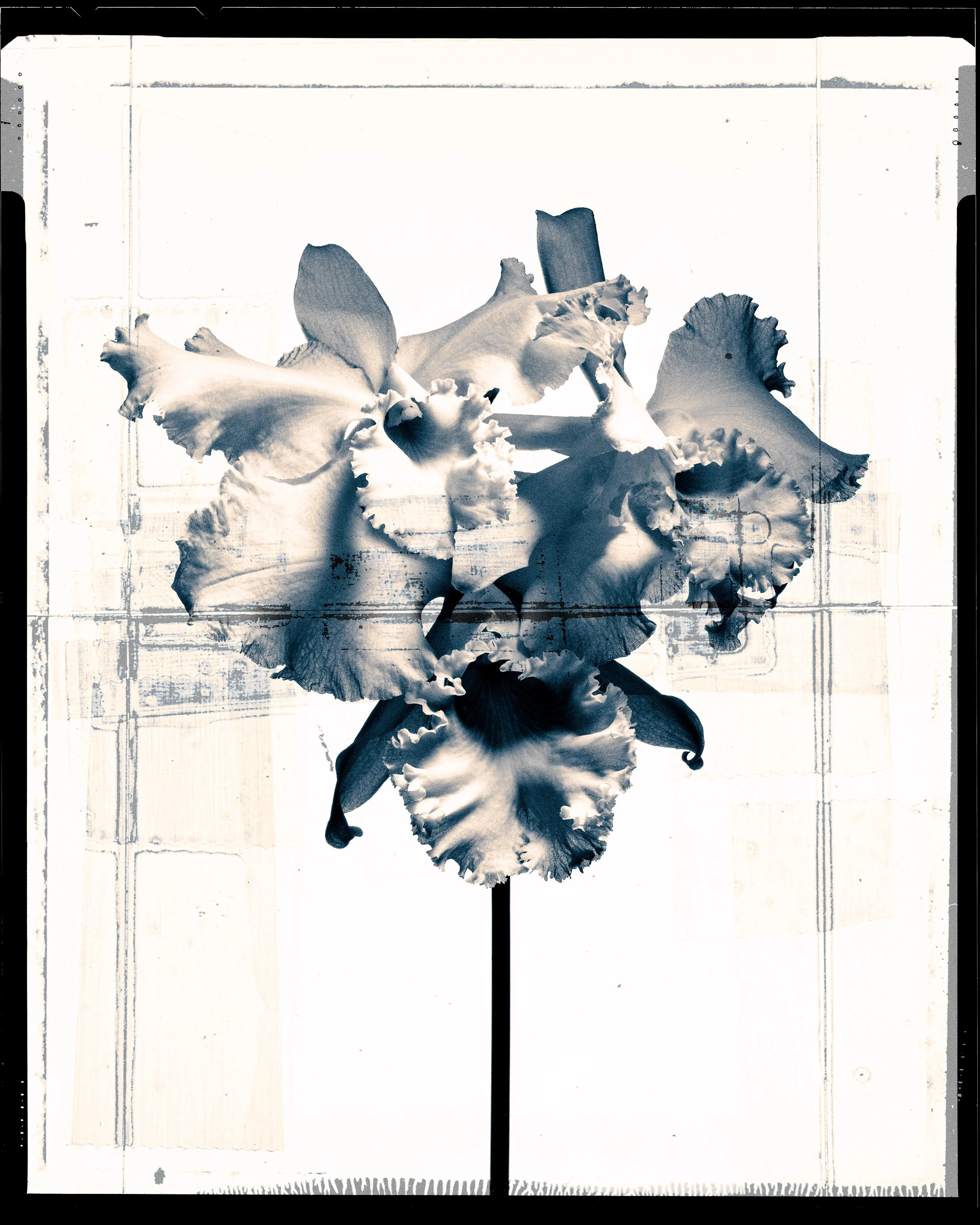 961200_2A_3