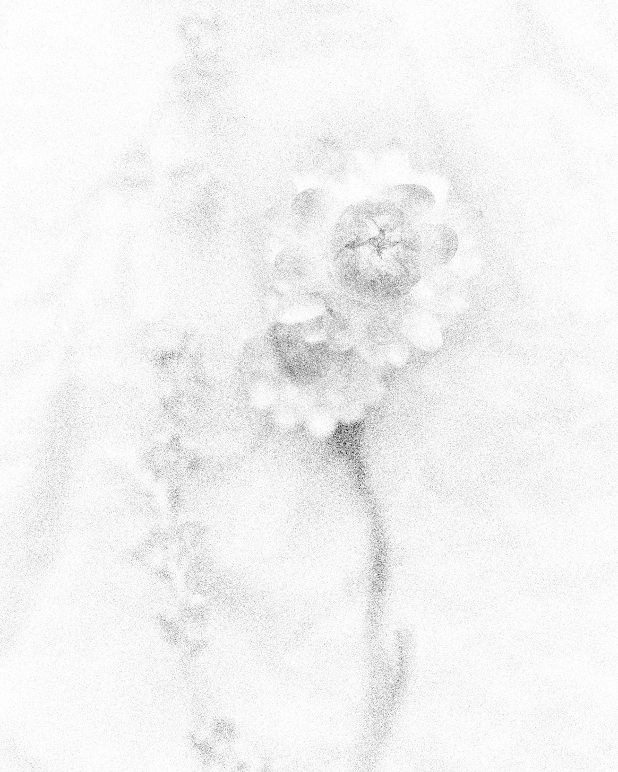 250312_356