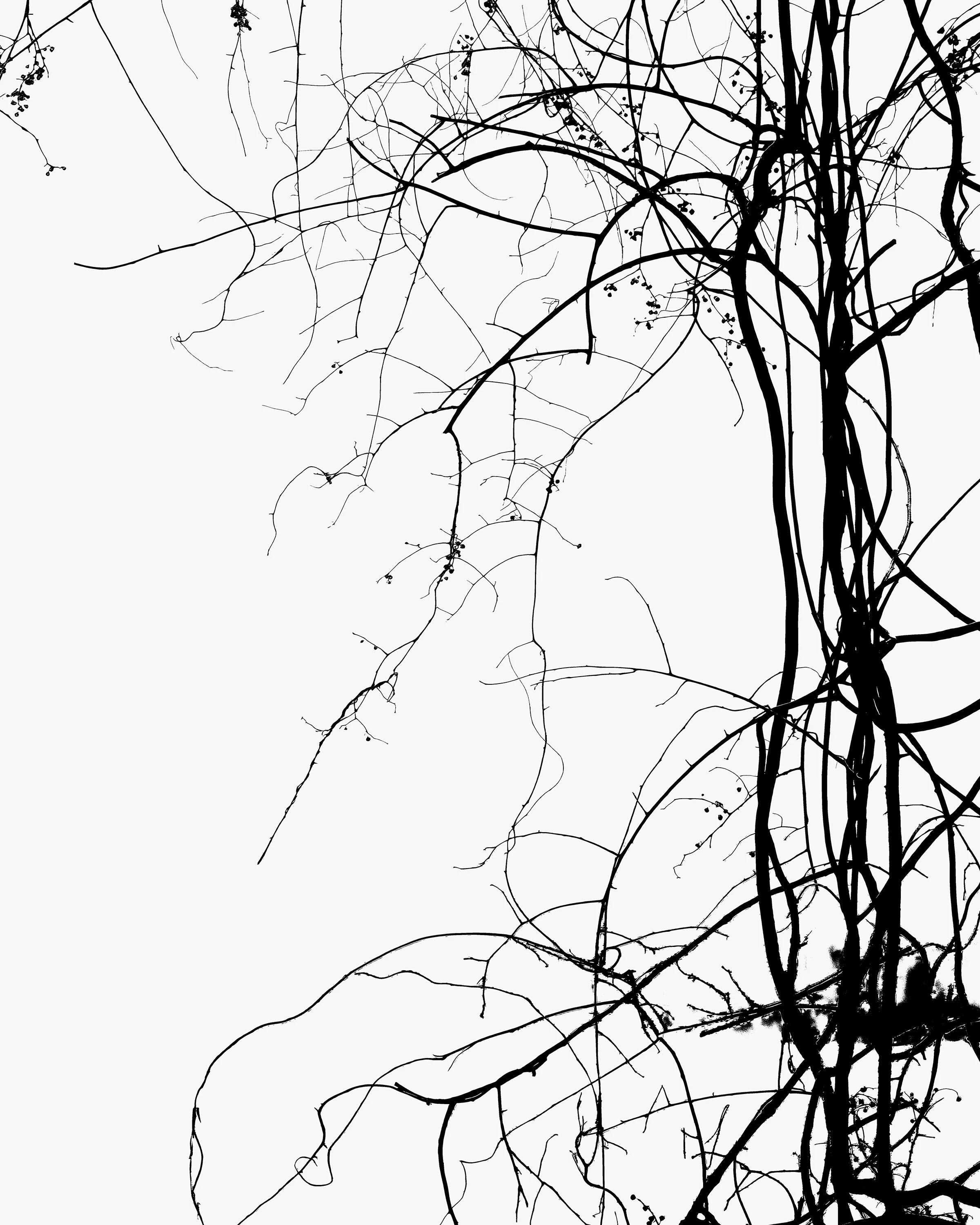 220101_661d