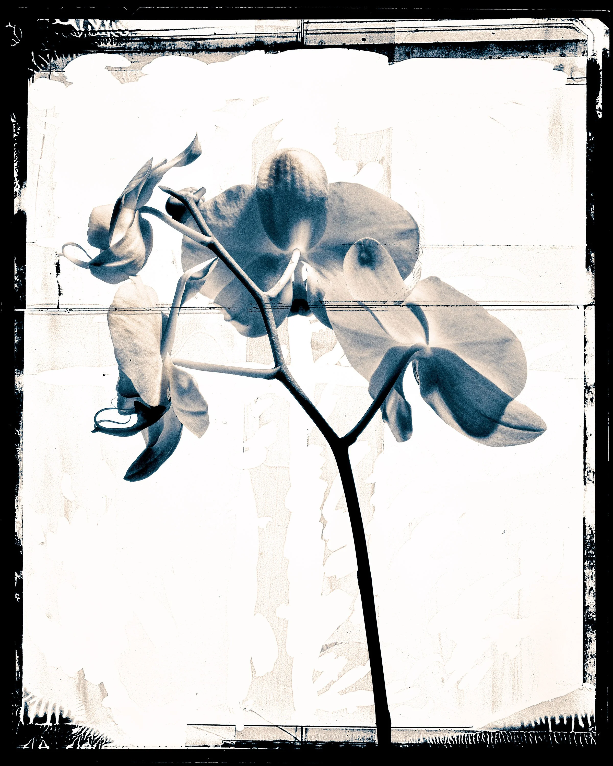 961200_2A_1