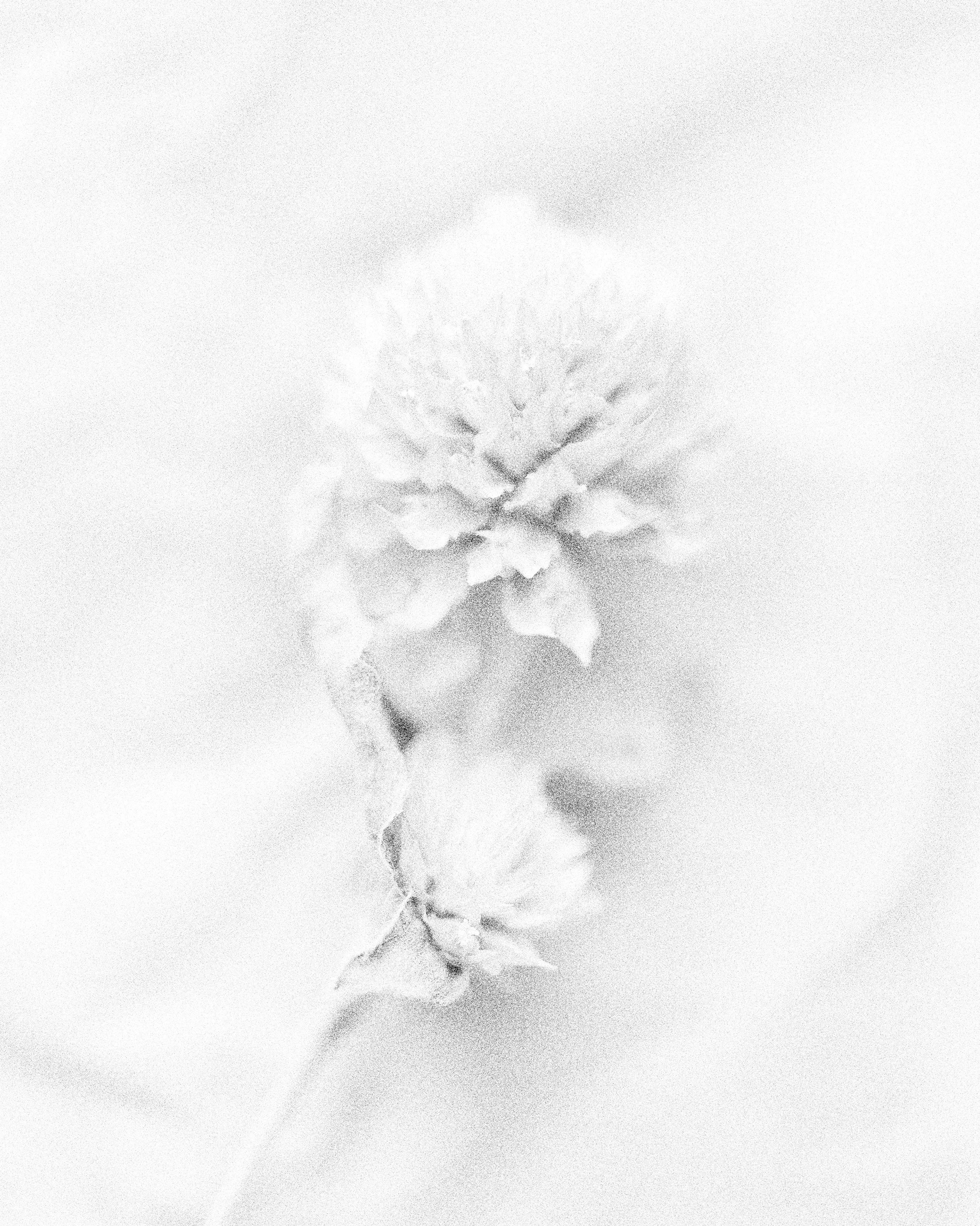 250312_389