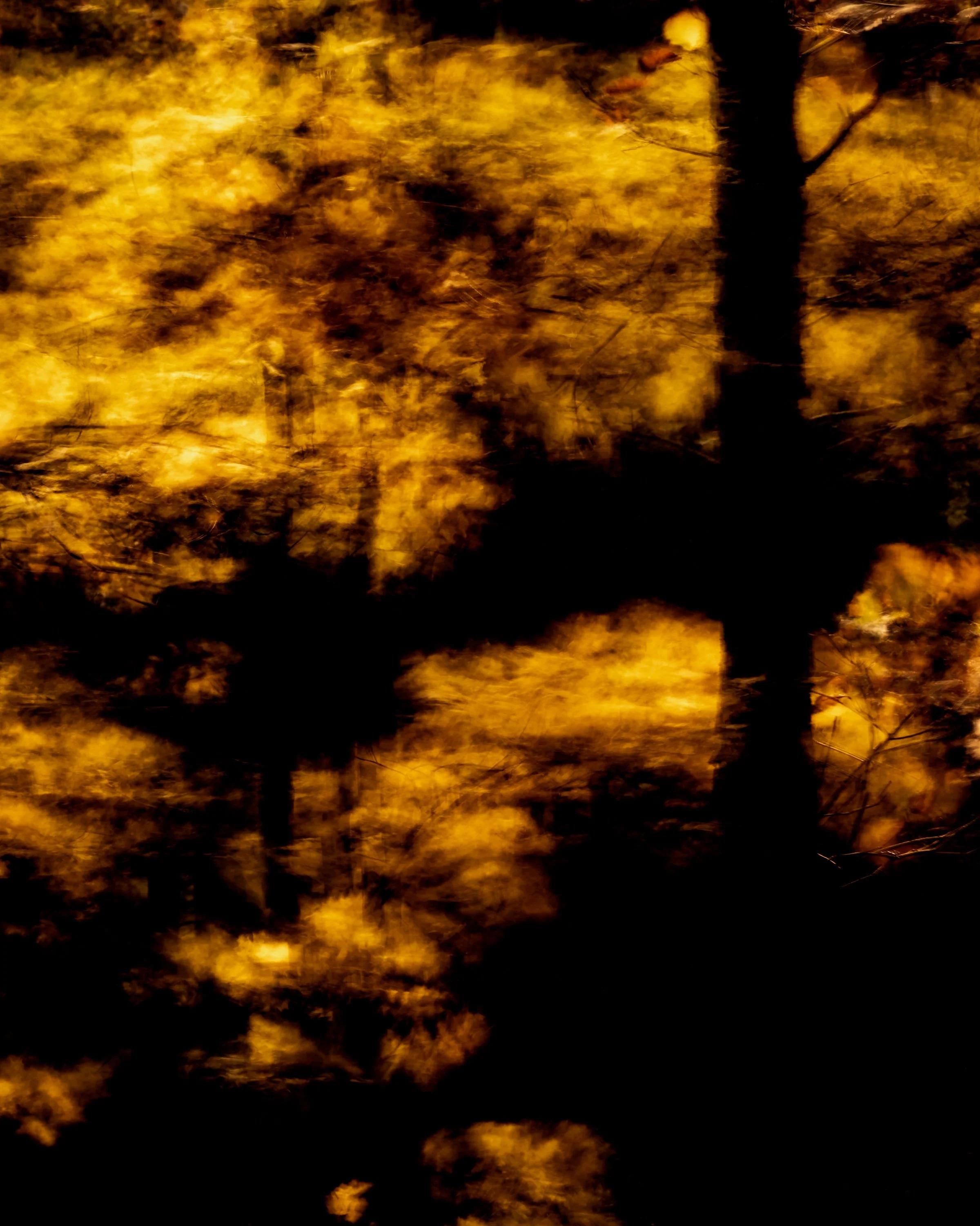 201103_0822b