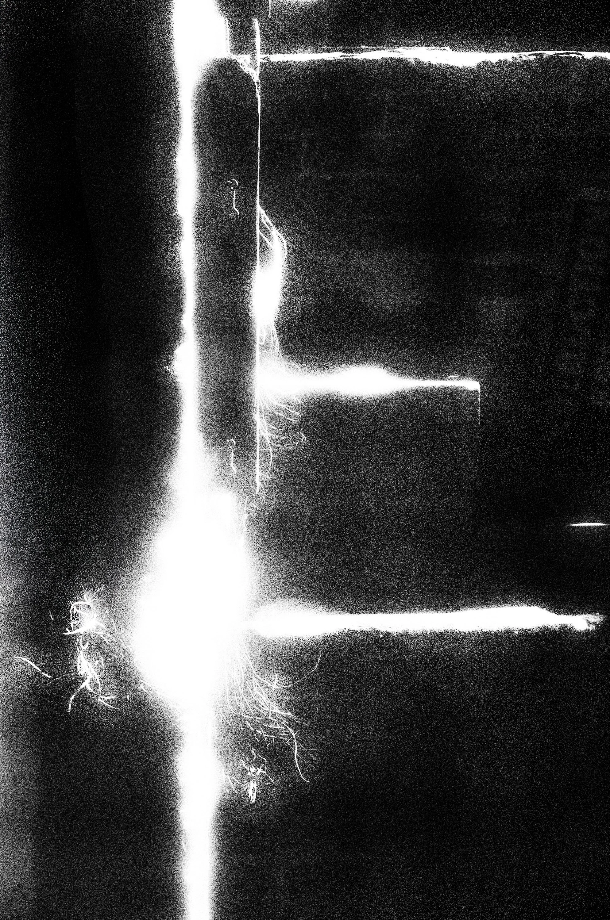 261001_019a