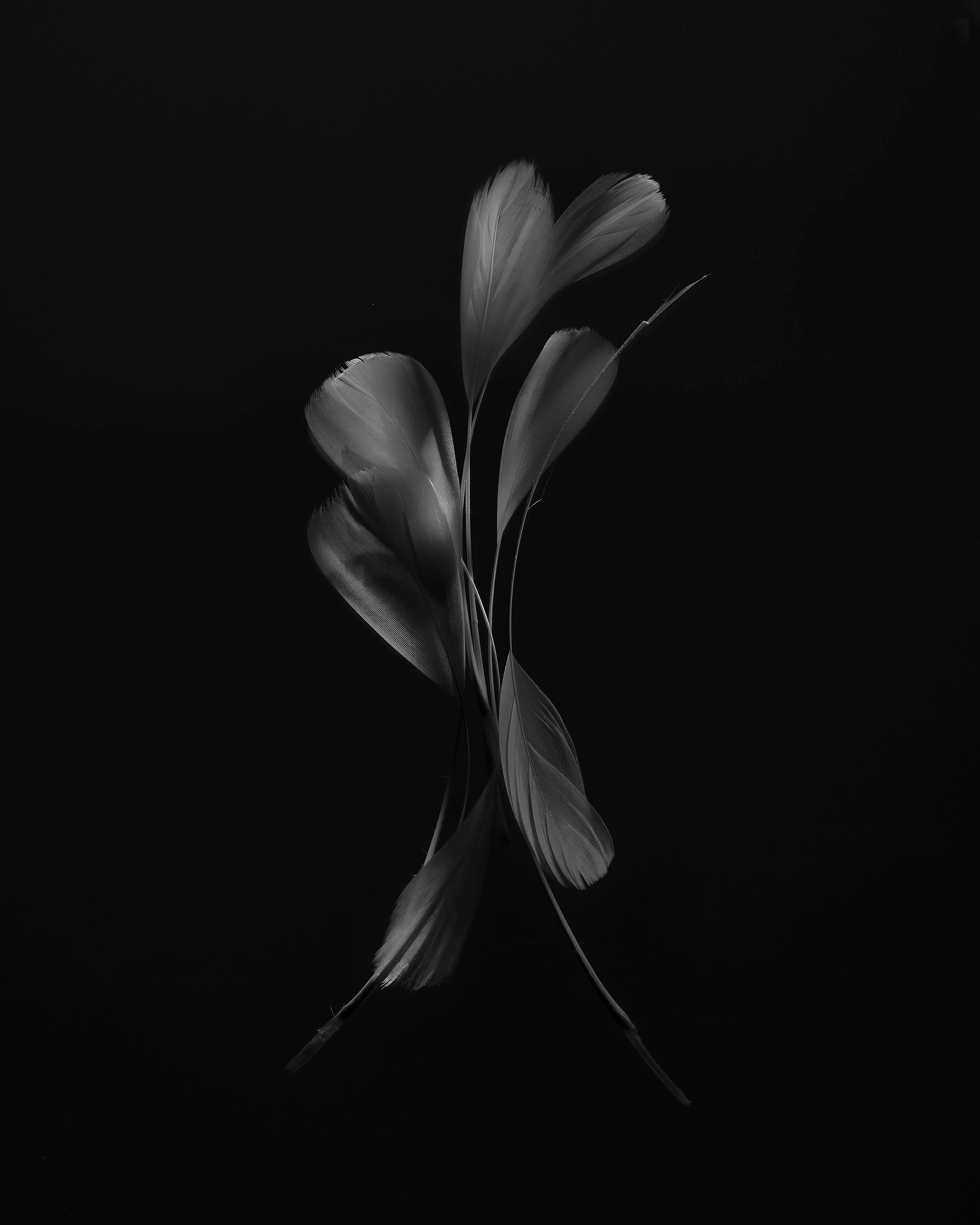 250305_648