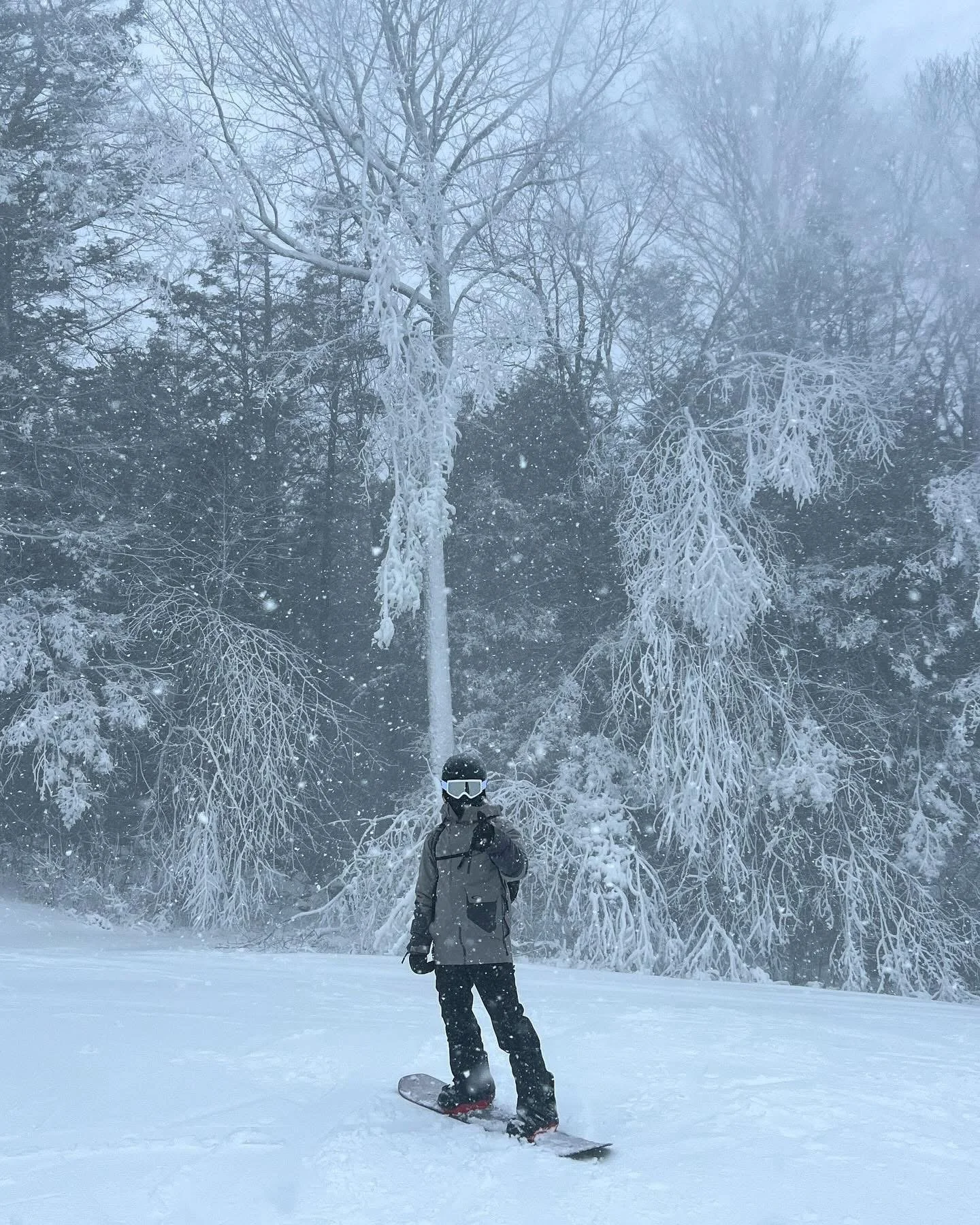 A person wearing ski goggles and winter clothing snowboarding on a snowy field with snow-covered trees and falling snow in the background.