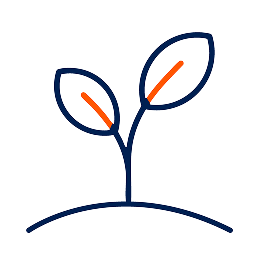 Dibujo de una planta con dos hojas y dos botones en un fondo blanco.