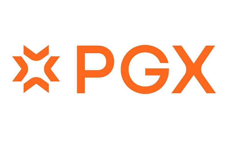 Logo pgx
