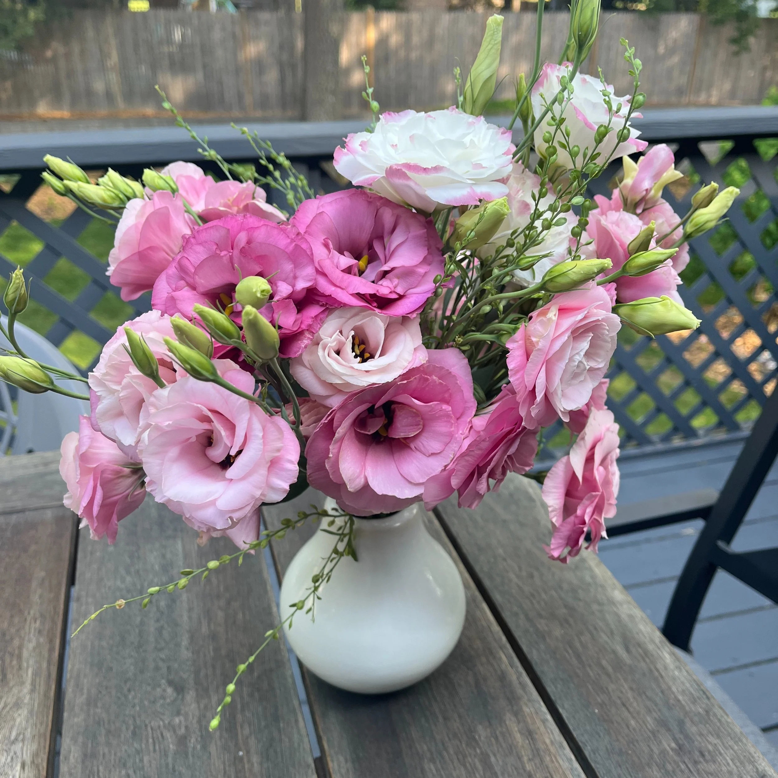 Featured Flower: Lisianthus

The lisianthus is blooming! 

With its delicate, rose-like petals and graceful stems, lisianthus brings an effortless elegance to every bouquet. 

Unlike many cut flowers, lisianthus has an exceptional vase life, allowing