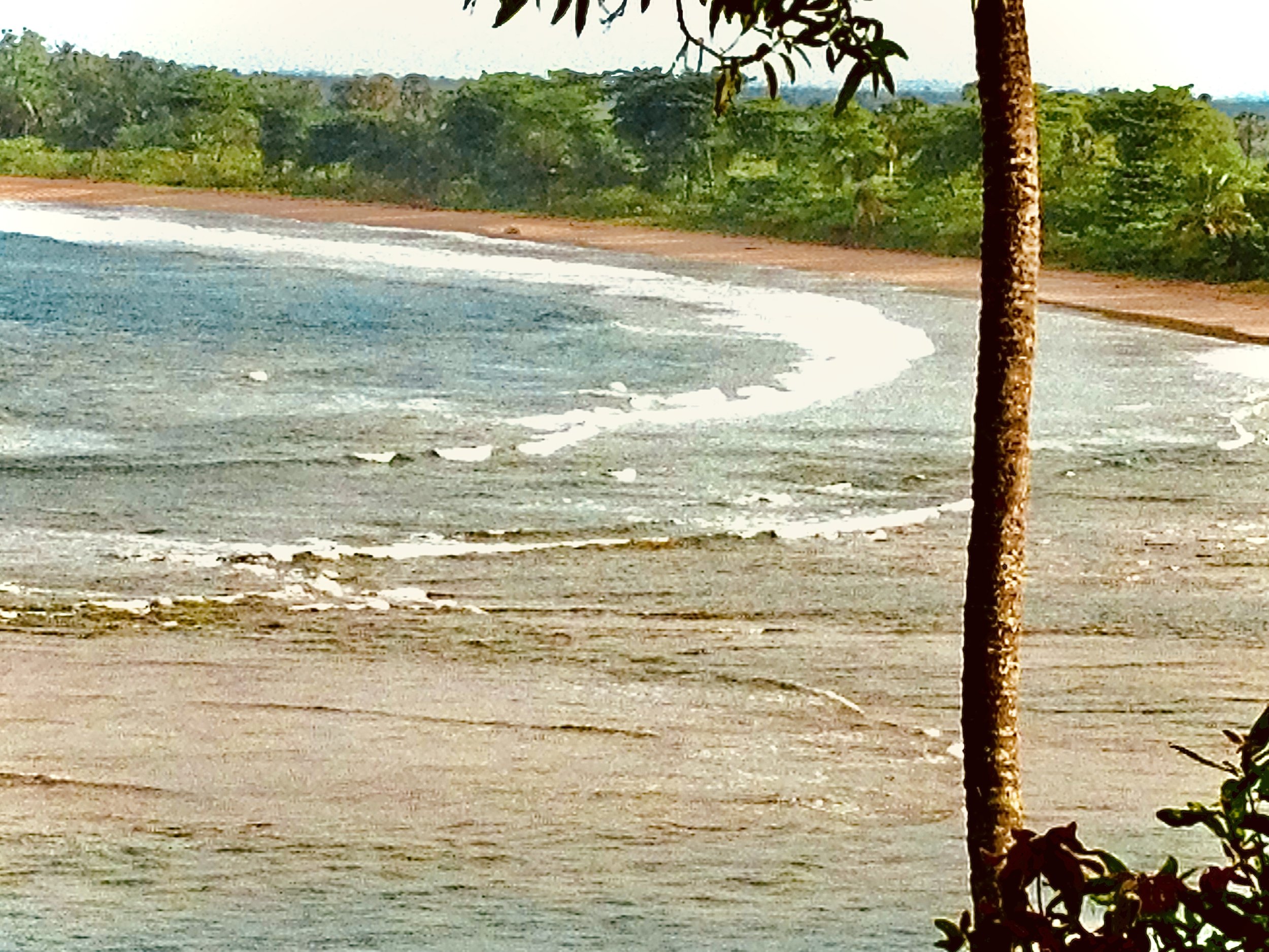 20130326_124535000_iOS.jpg