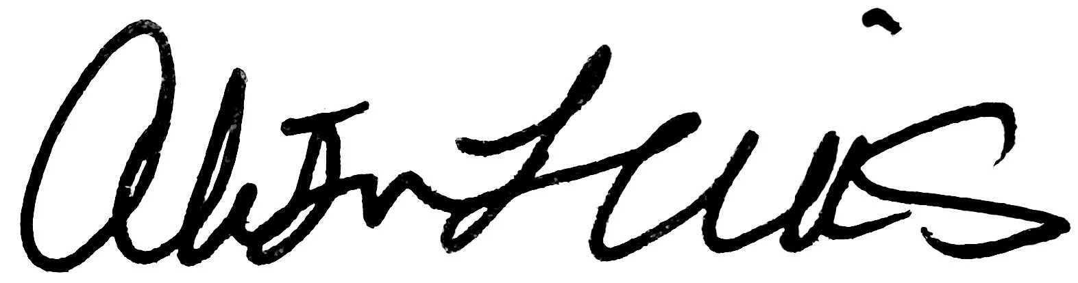 Stylized black cursive logo that reads "Autostaus"
