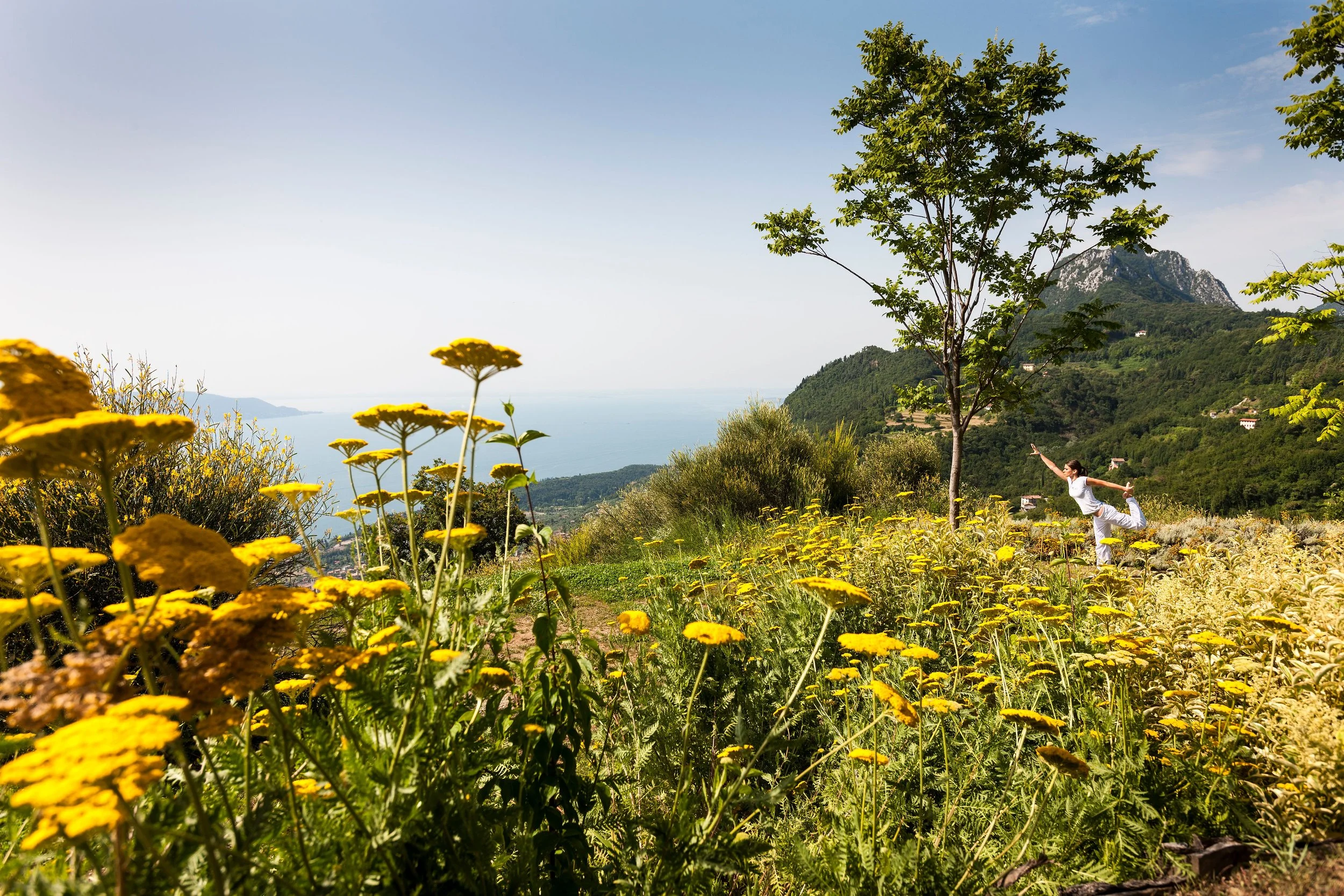 A woman practicing yoga outdoors among yellow wildflowers, trees, distant mountains, and a clear sky.