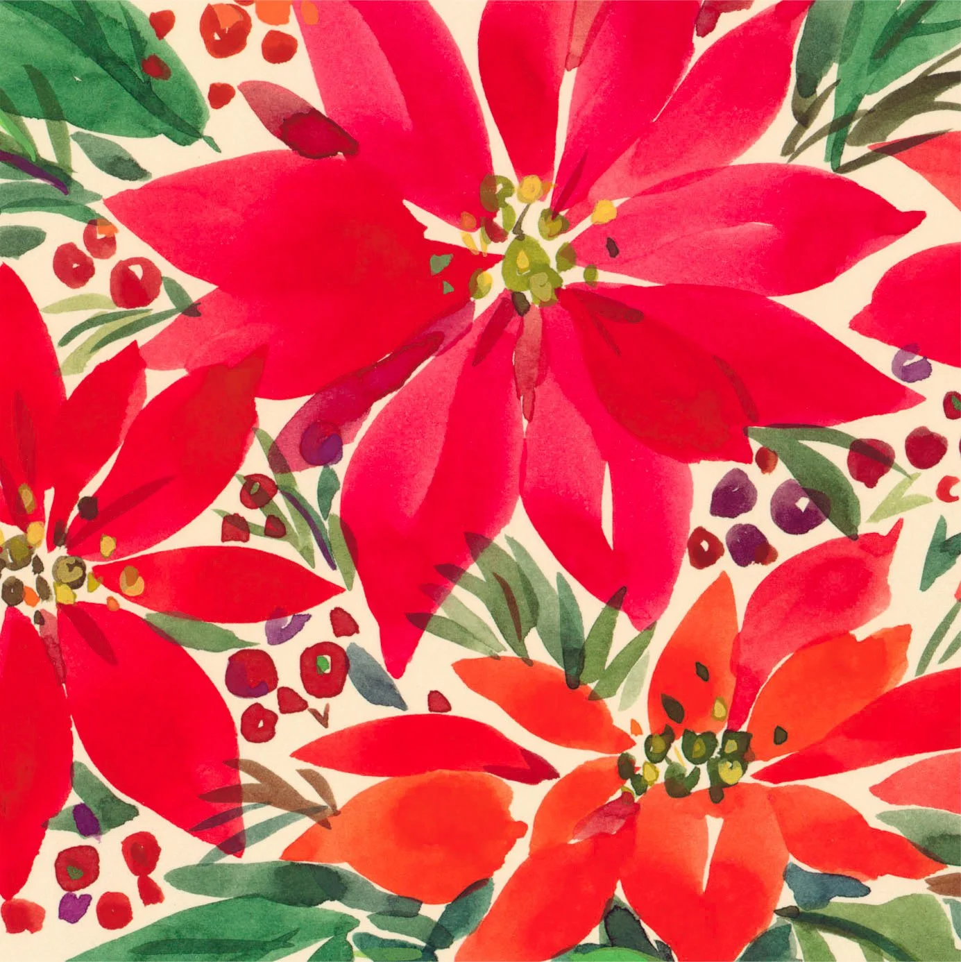 poinsettia.ex.jpg