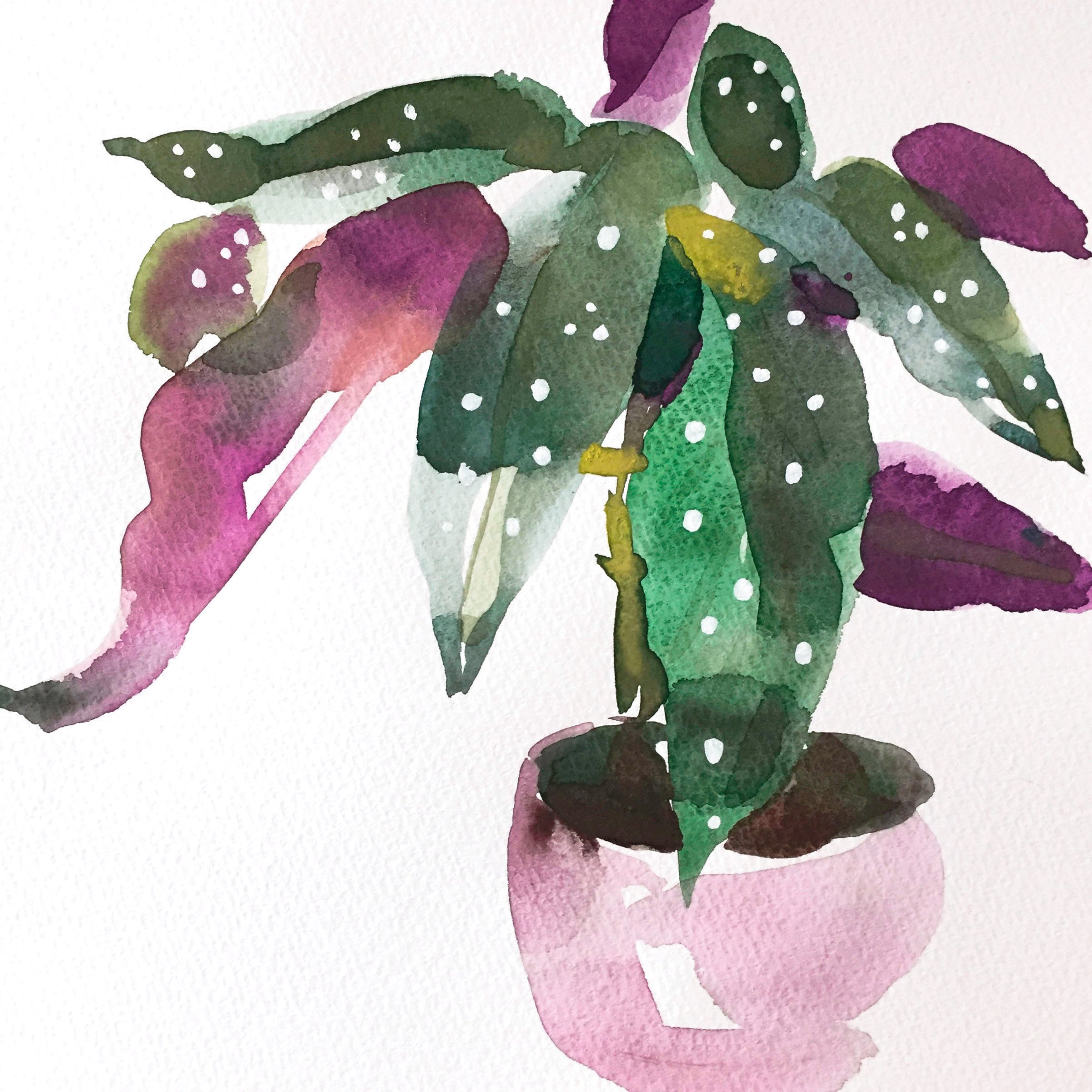 Floral Watercolor