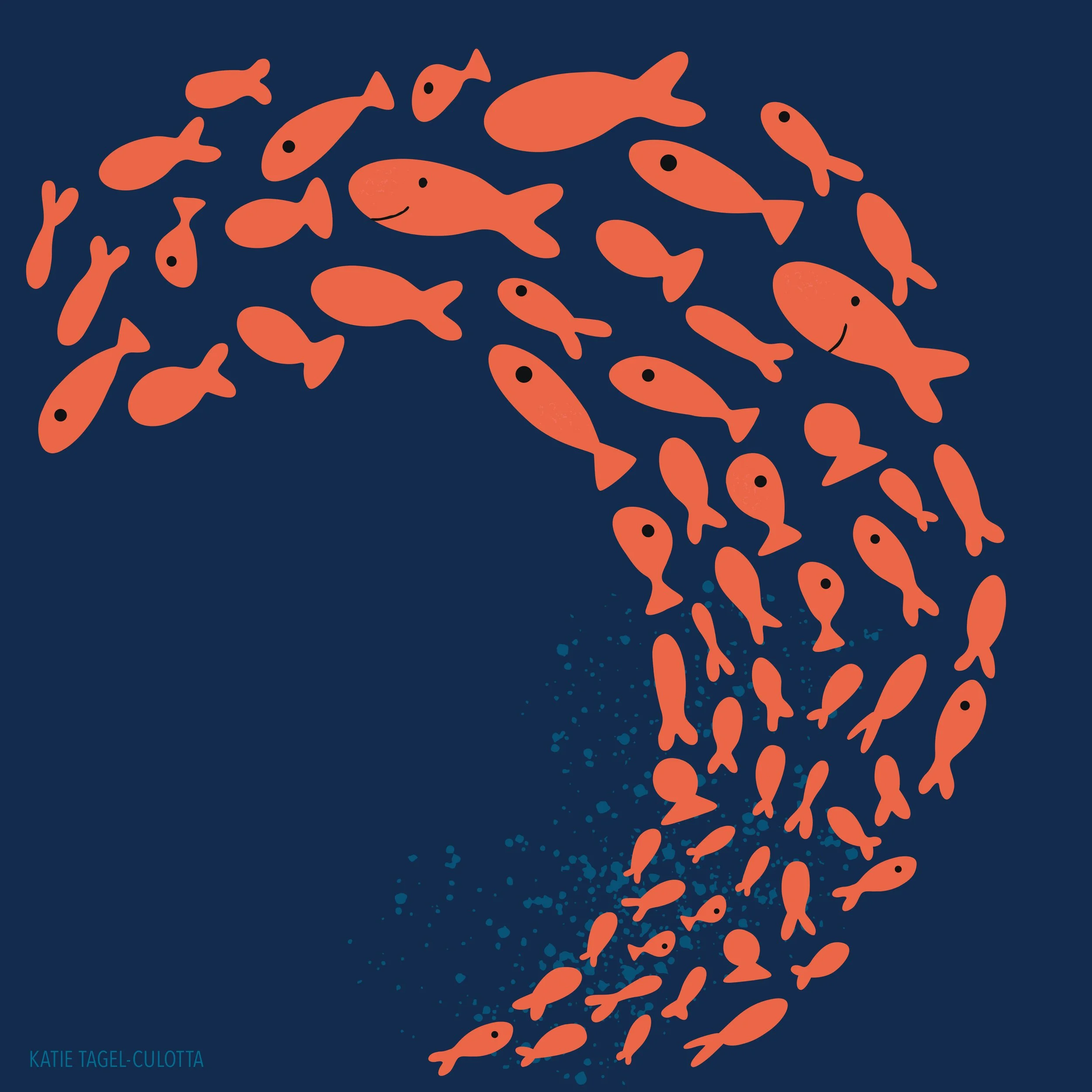 3.fish.school.kt.ex.jpg